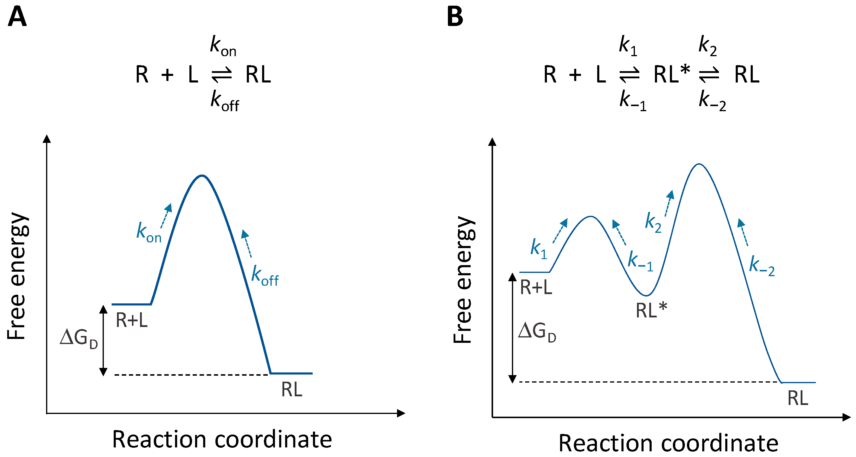 Physchem 03 00026 g002