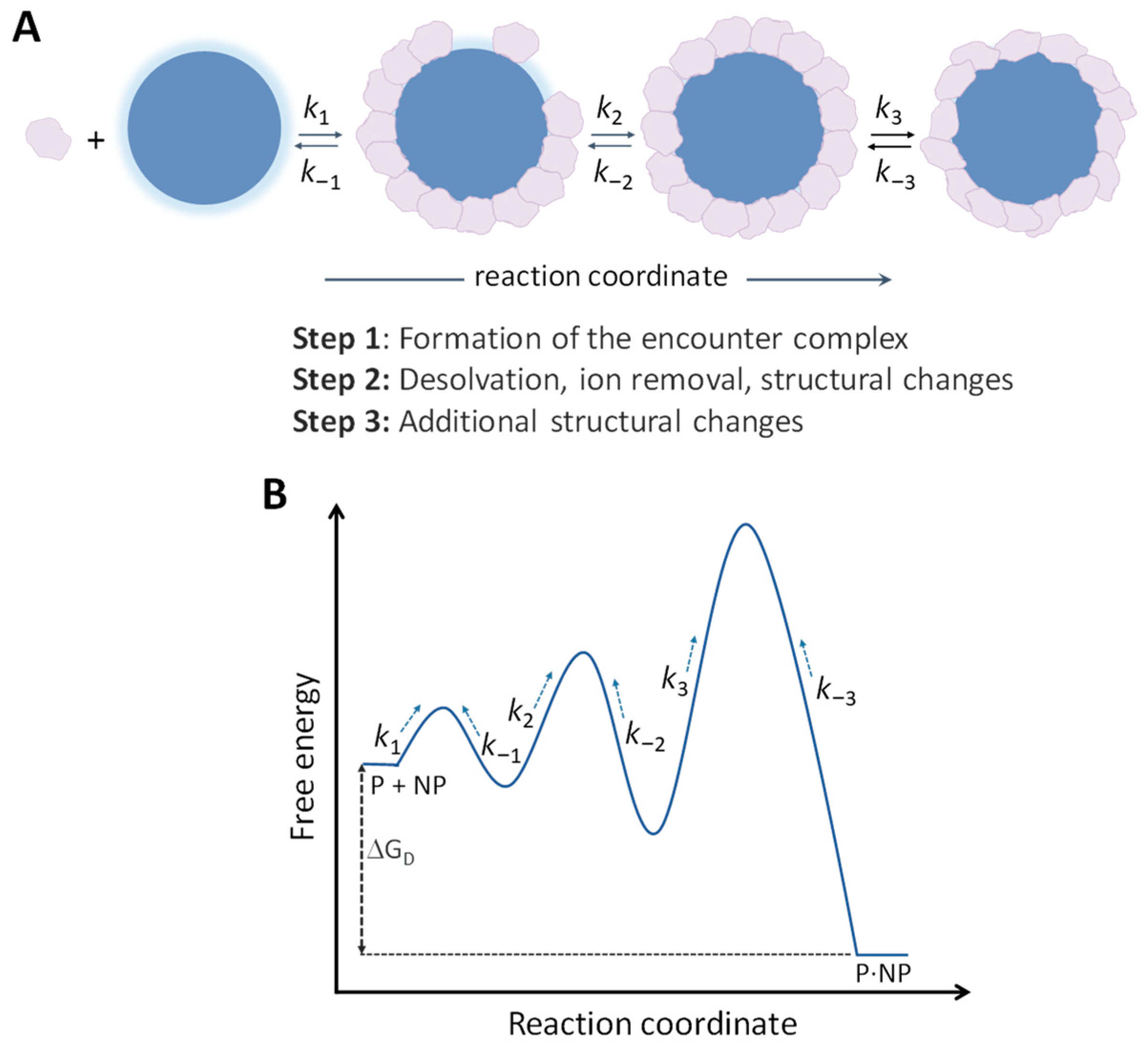 Physchem 03 00026 g003