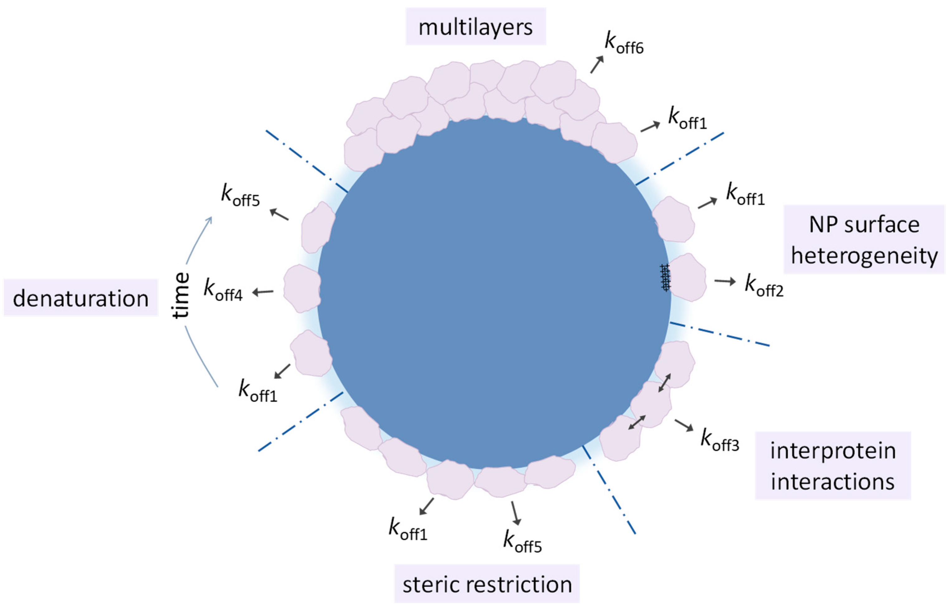 Physchem 03 00026 g005