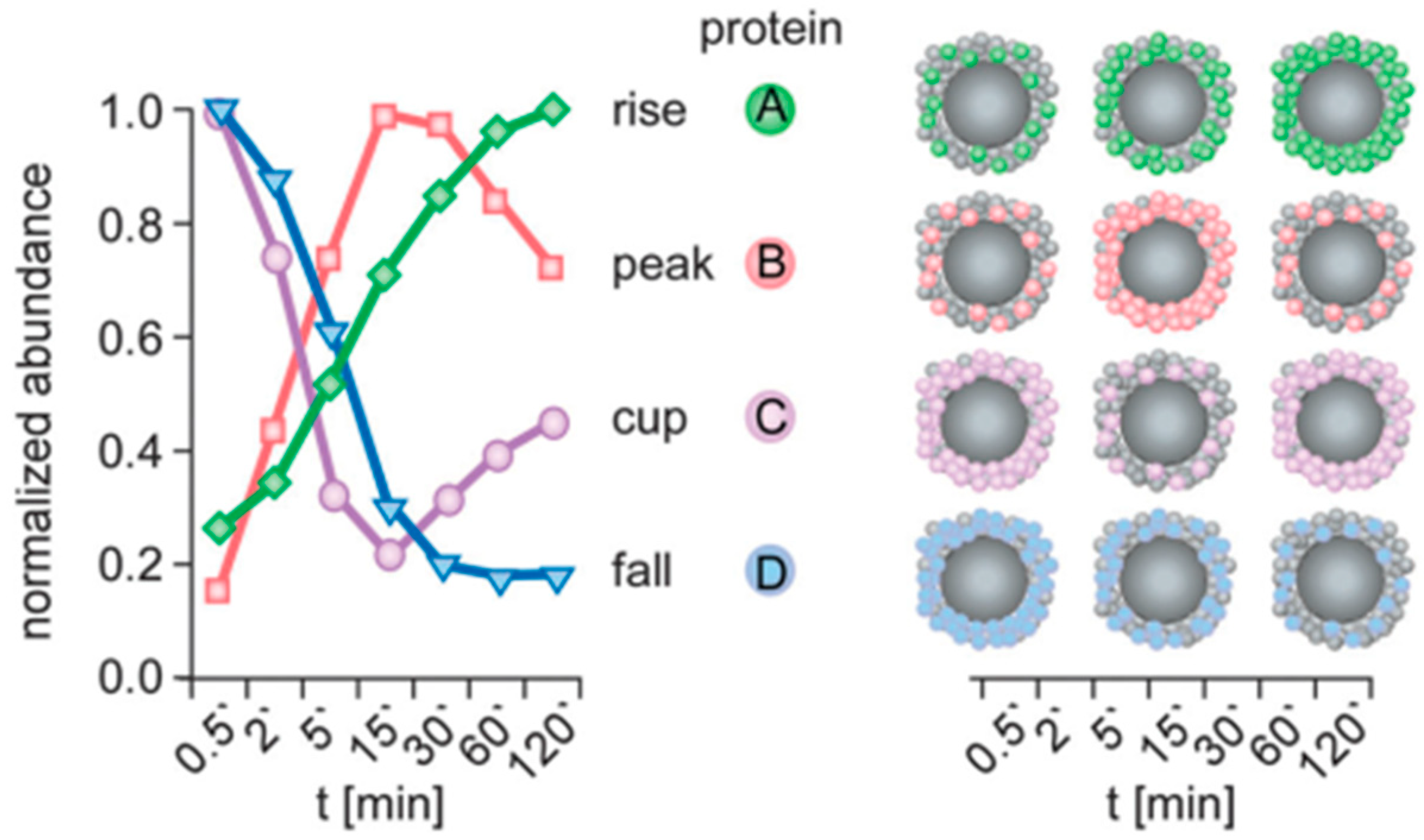 Physchem 03 00026 g010