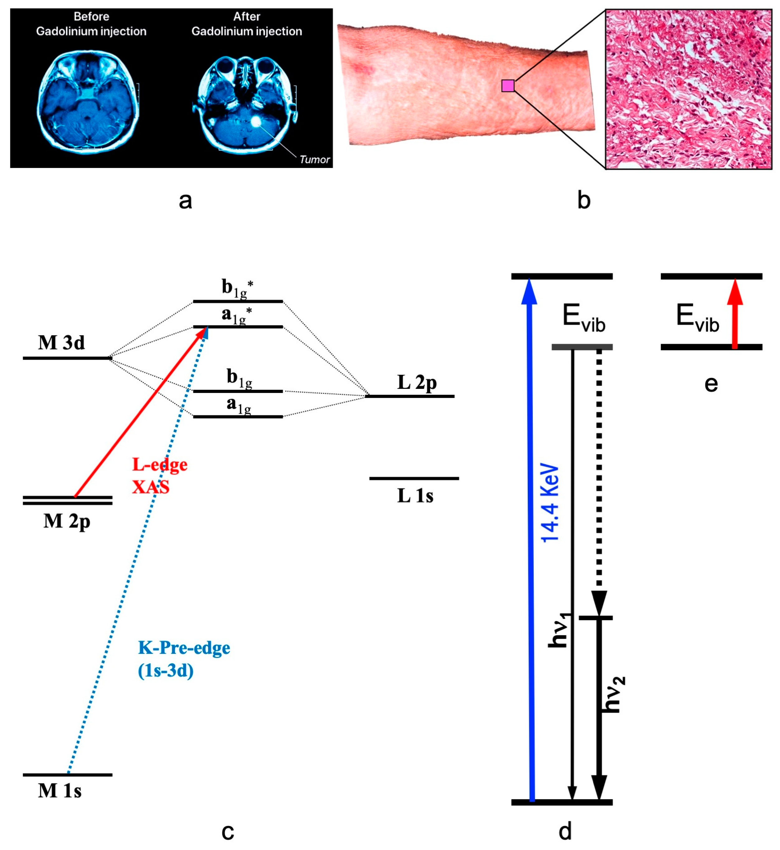 Physchem 04 00003 g001