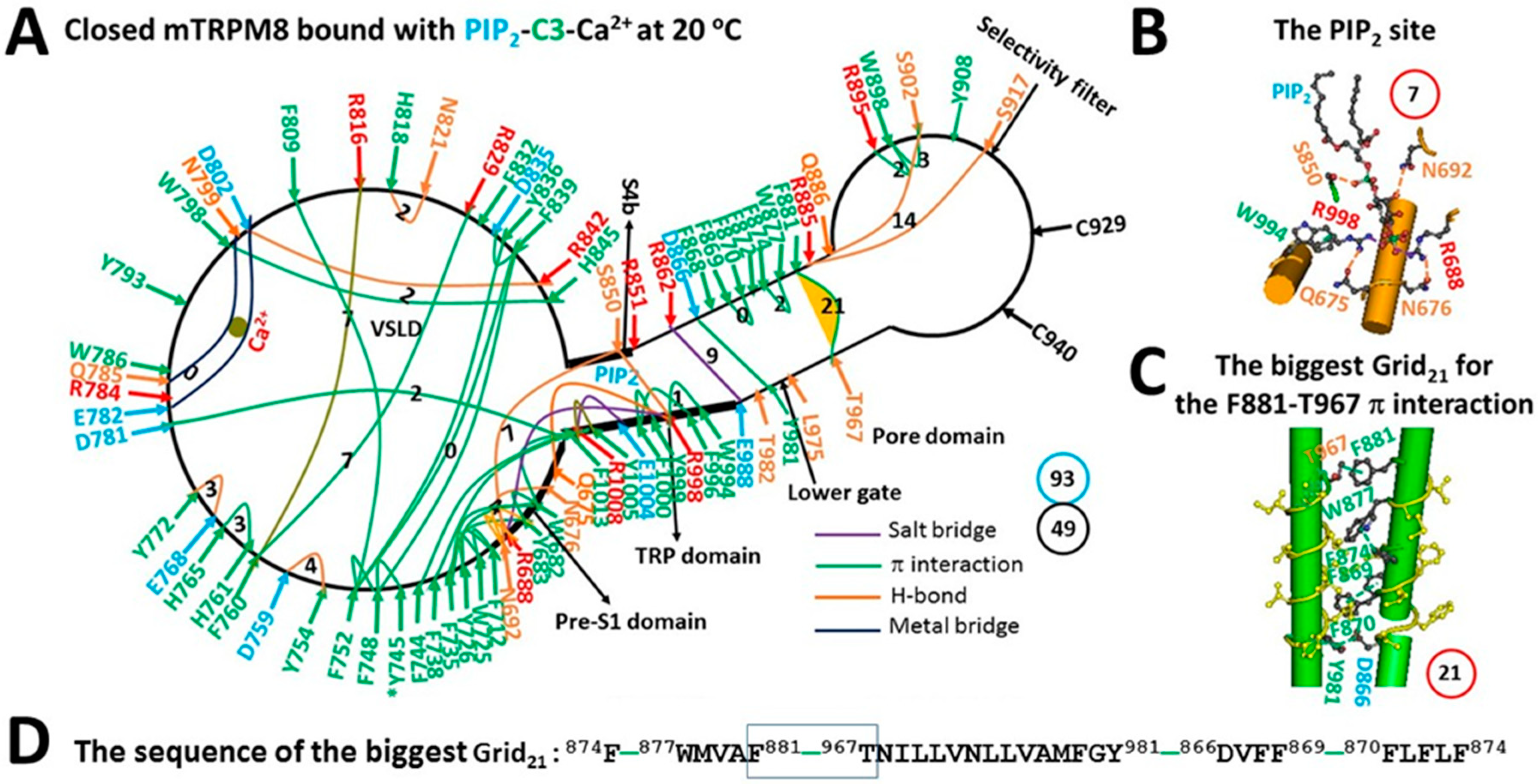 Physchem 04 00008 g002 Physchem 04 00008 g002