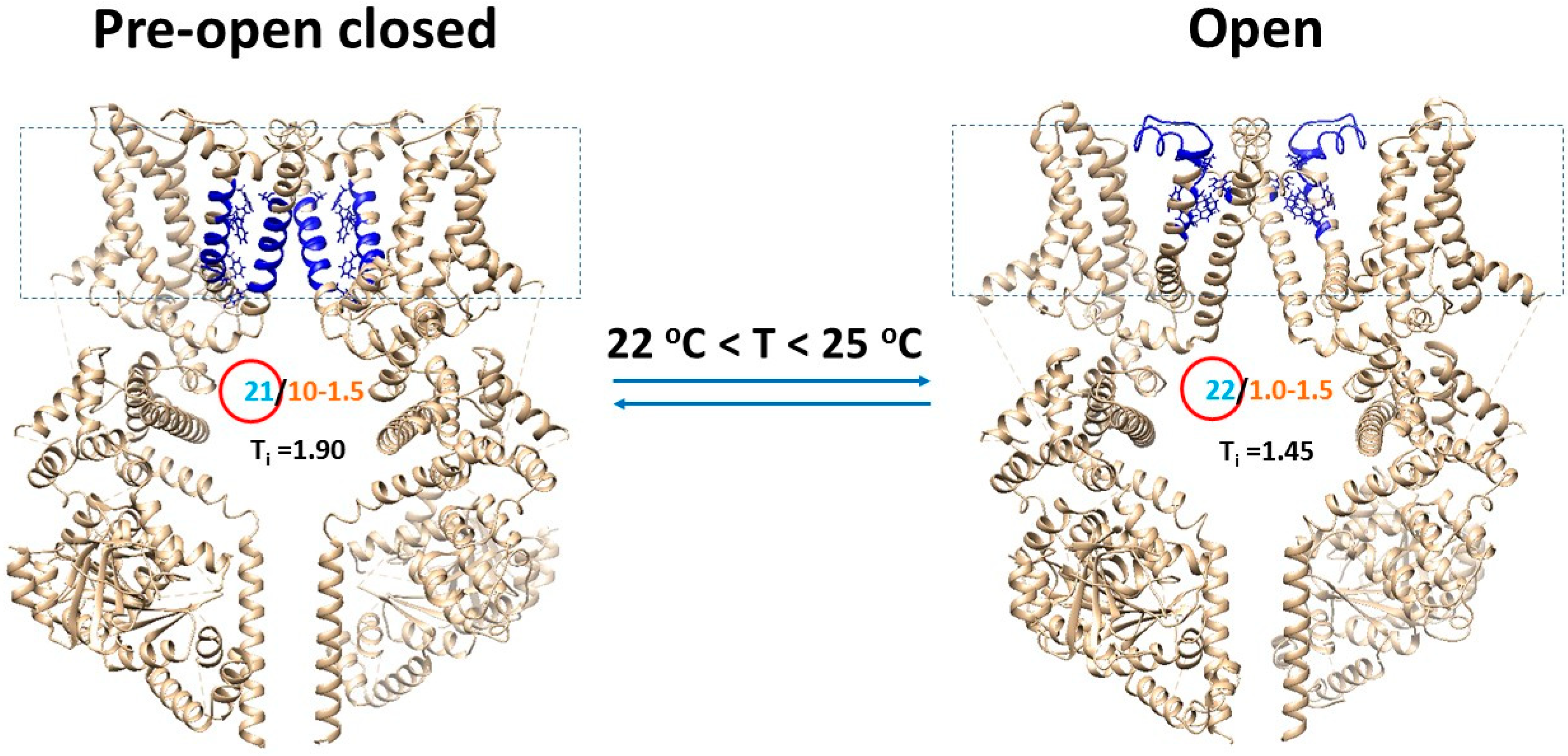 Physchem 04 00008 g004 Physchem 04 00008 g004