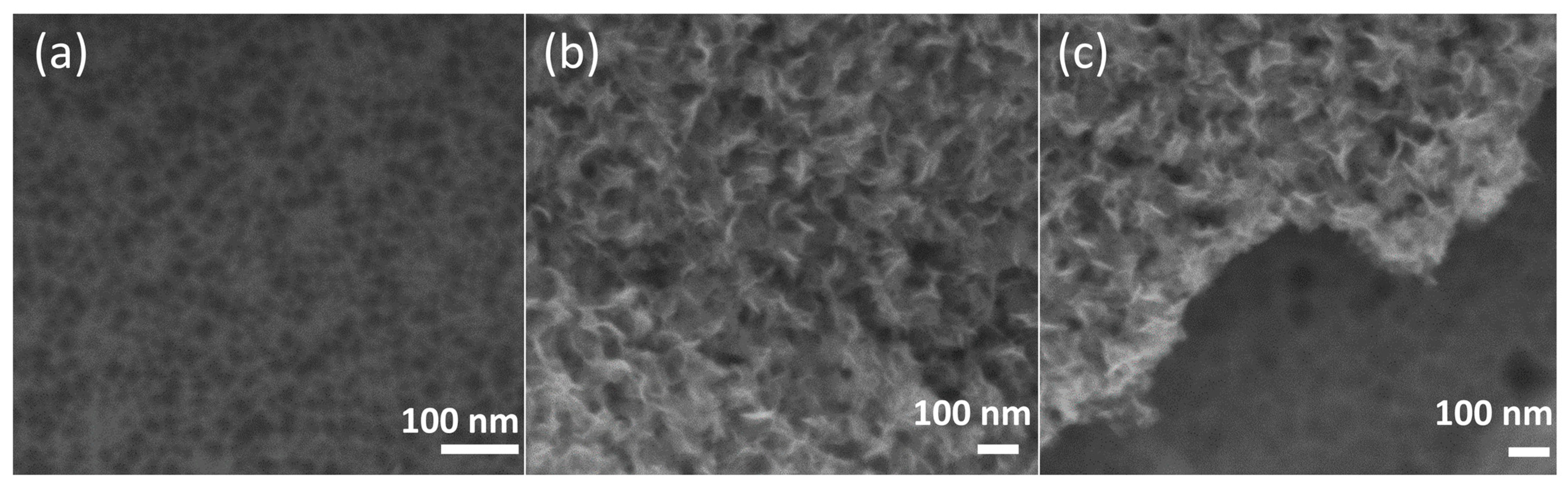 Physchem 04 00037 g003