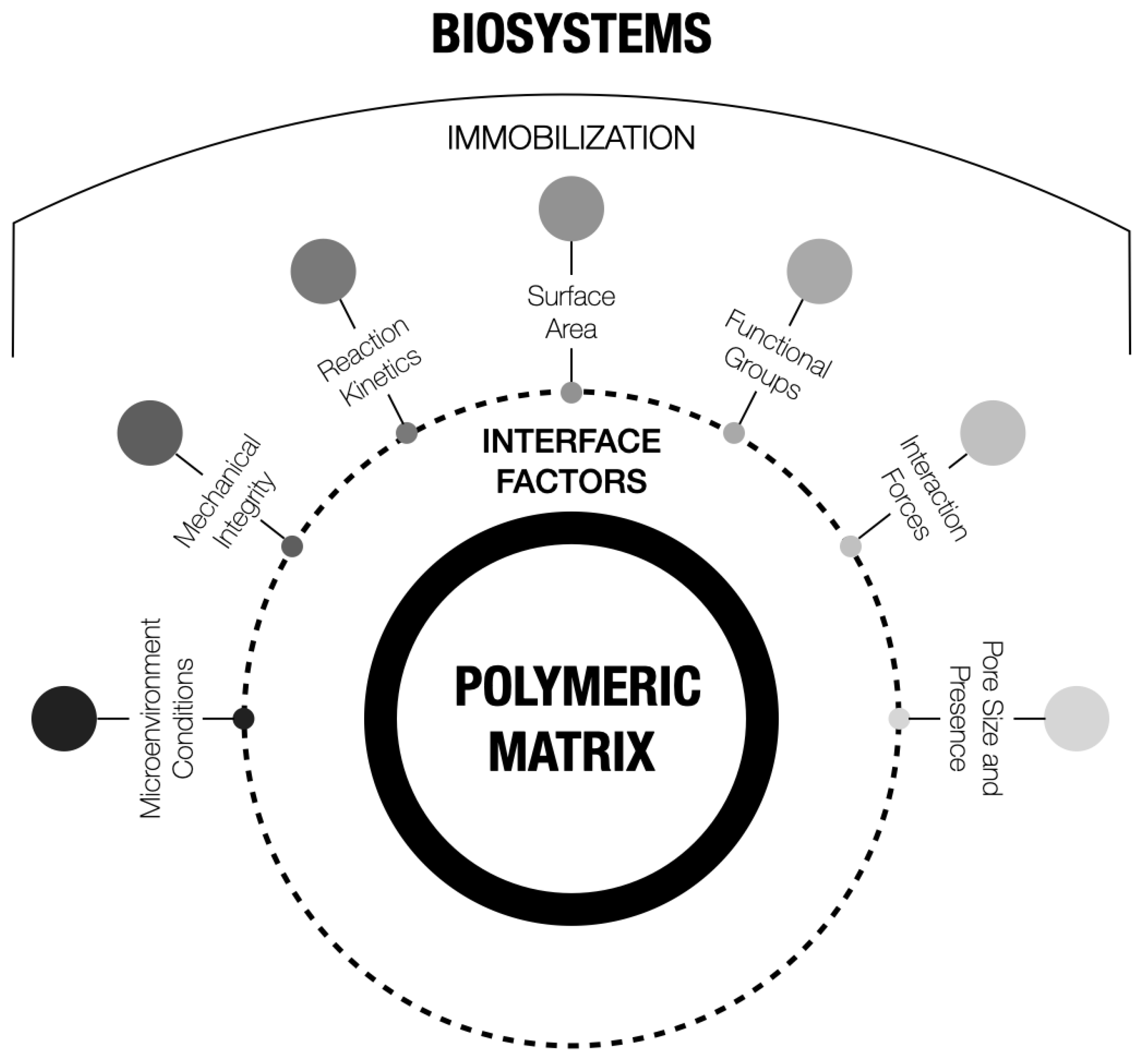 Physchem 05 00002 g005