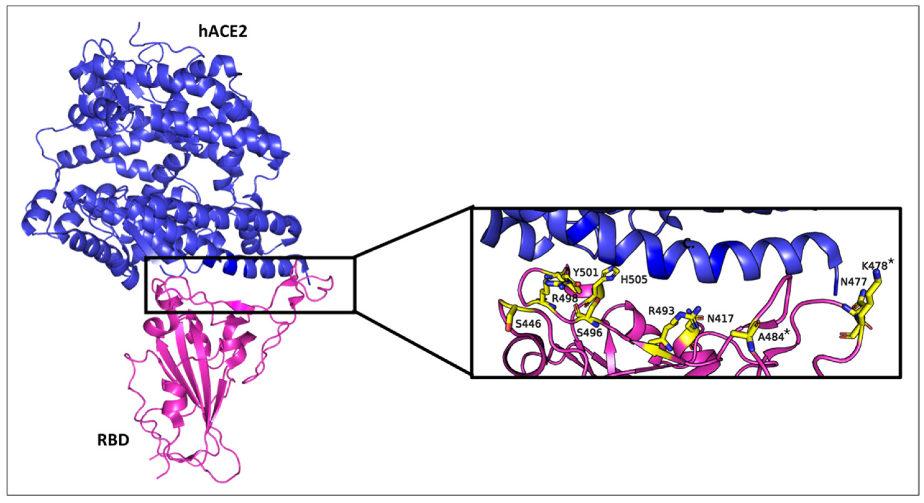 Physchem 05 00008 g001