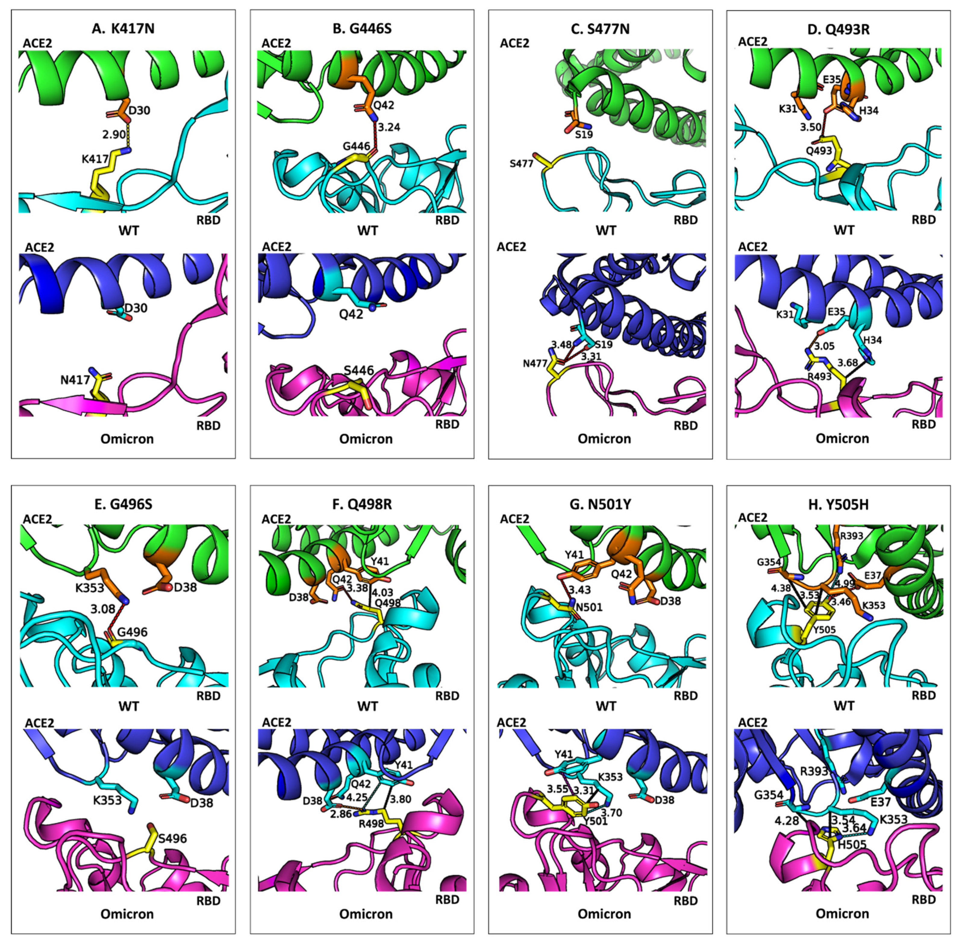 Physchem 05 00008 g004