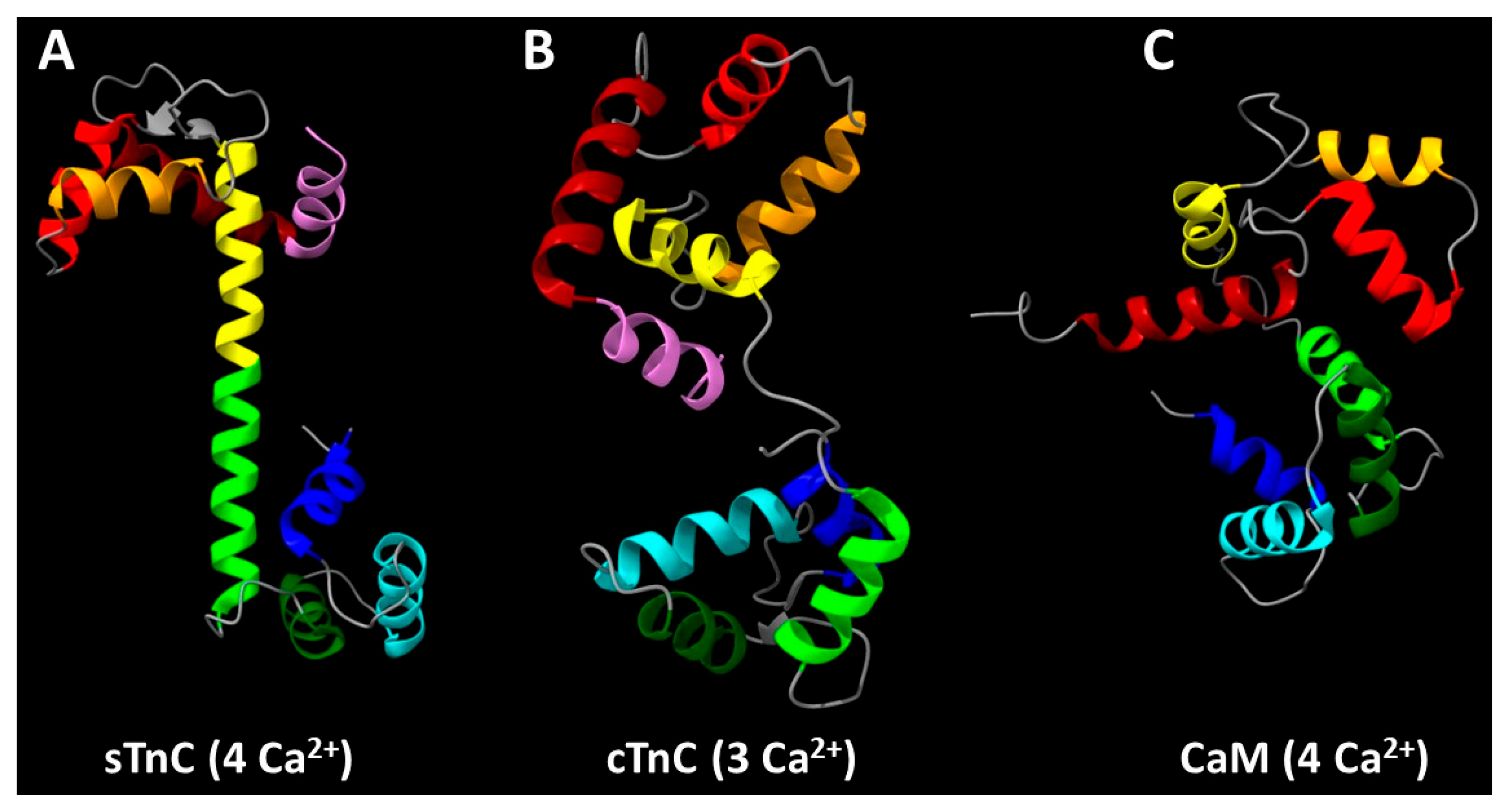 Physchem 05 00016 g002