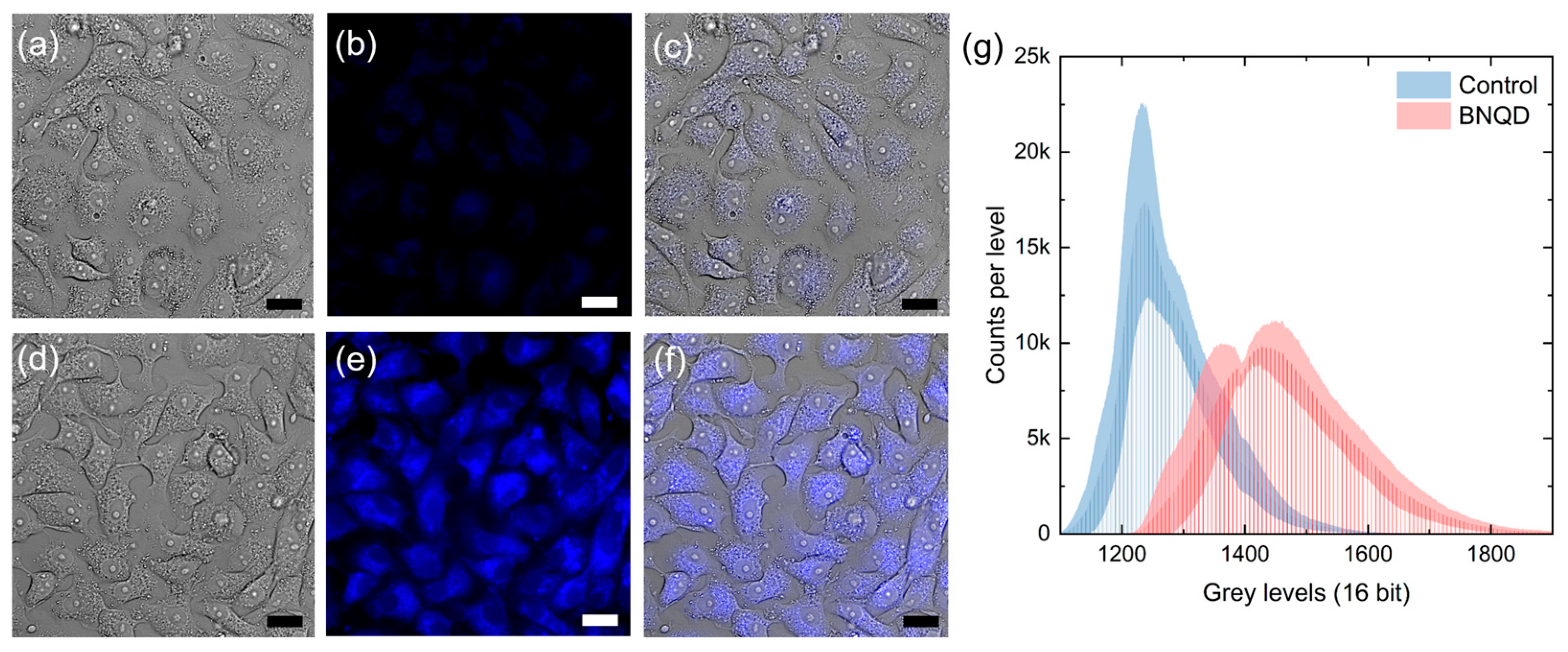 Physchem 05 00046 g007 Physchem 05 00046 g007