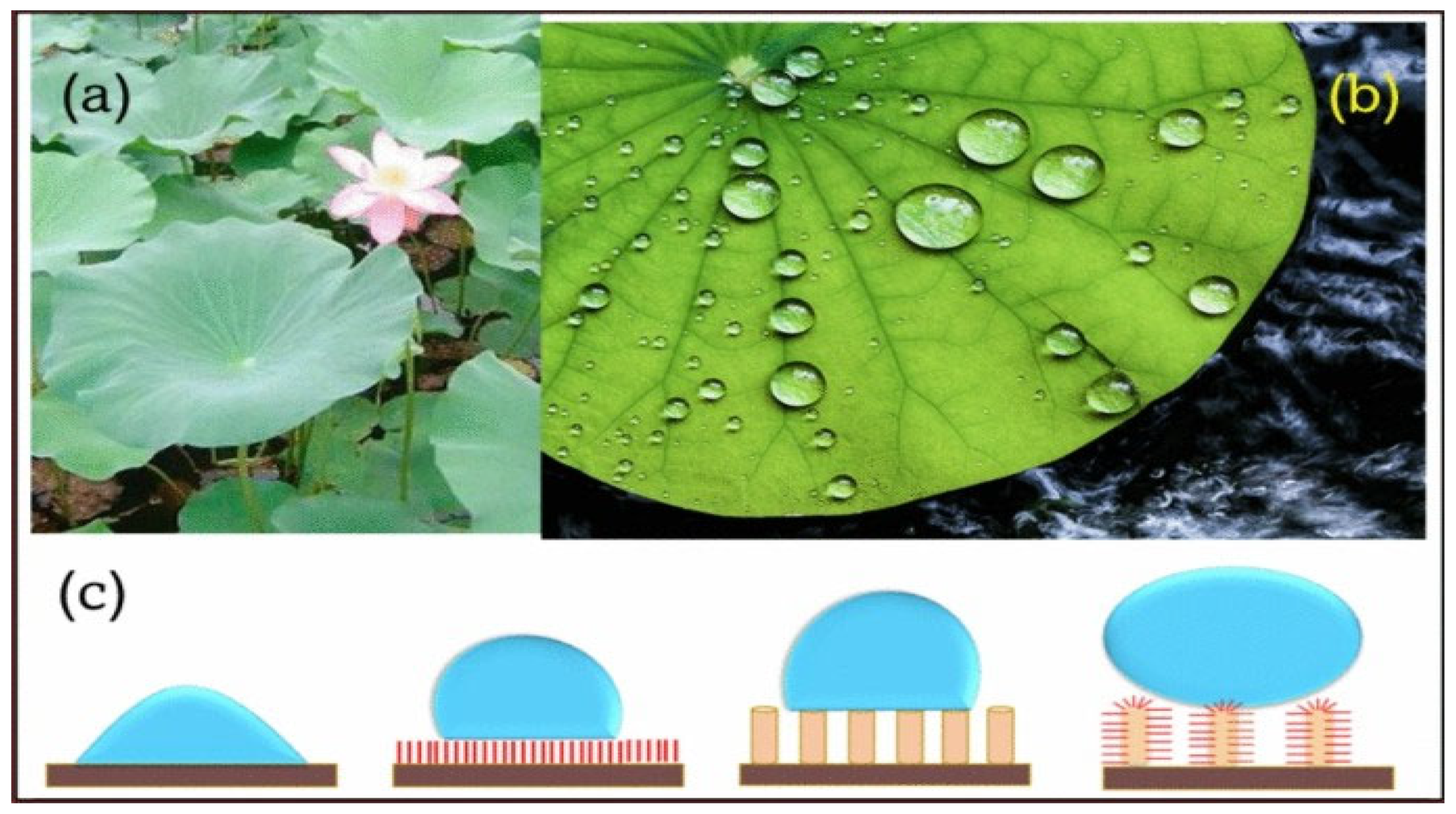 Physchem 05 00048 g004 Physchem 05 00048 g004