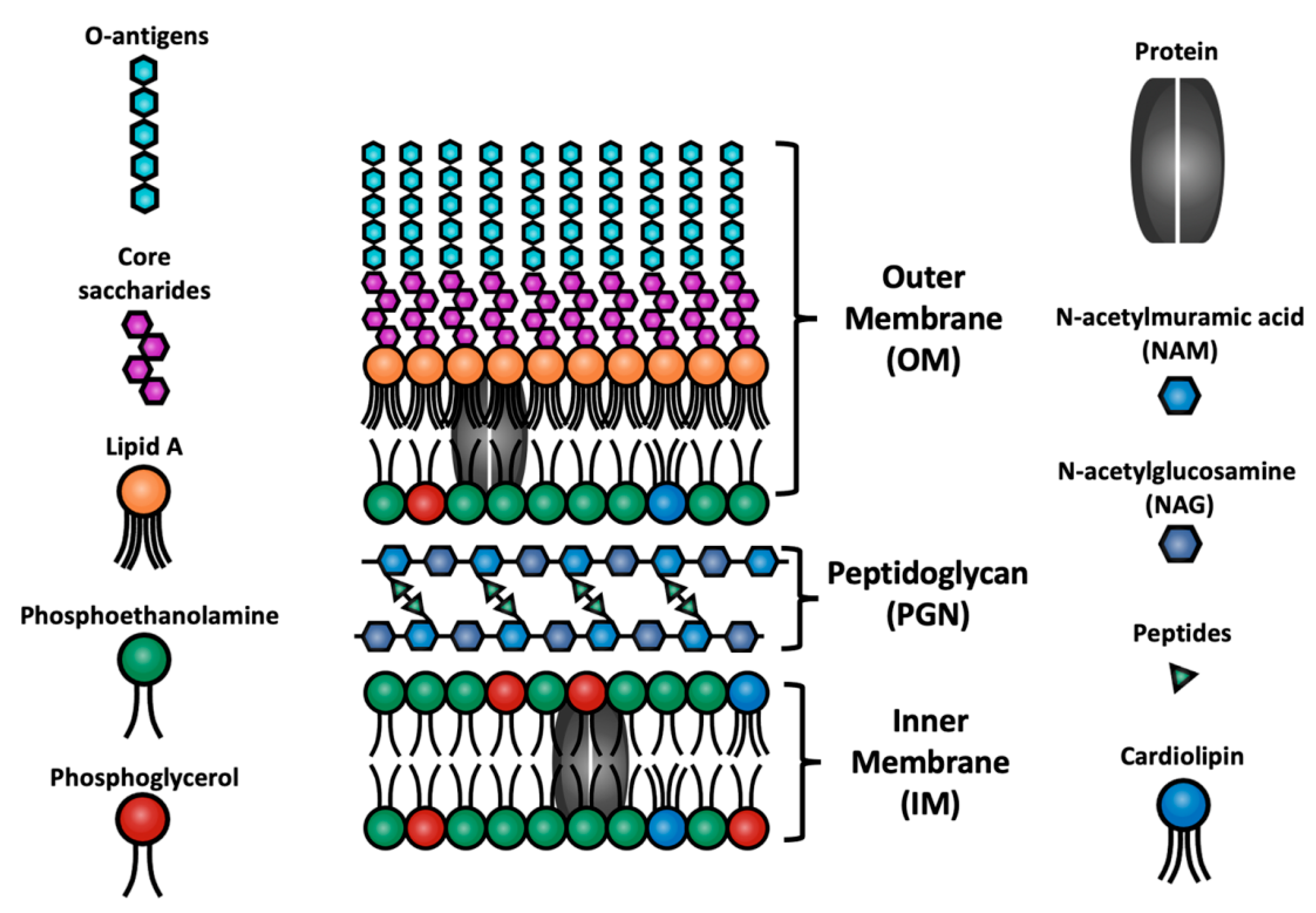 Physchem 05 00050 g001