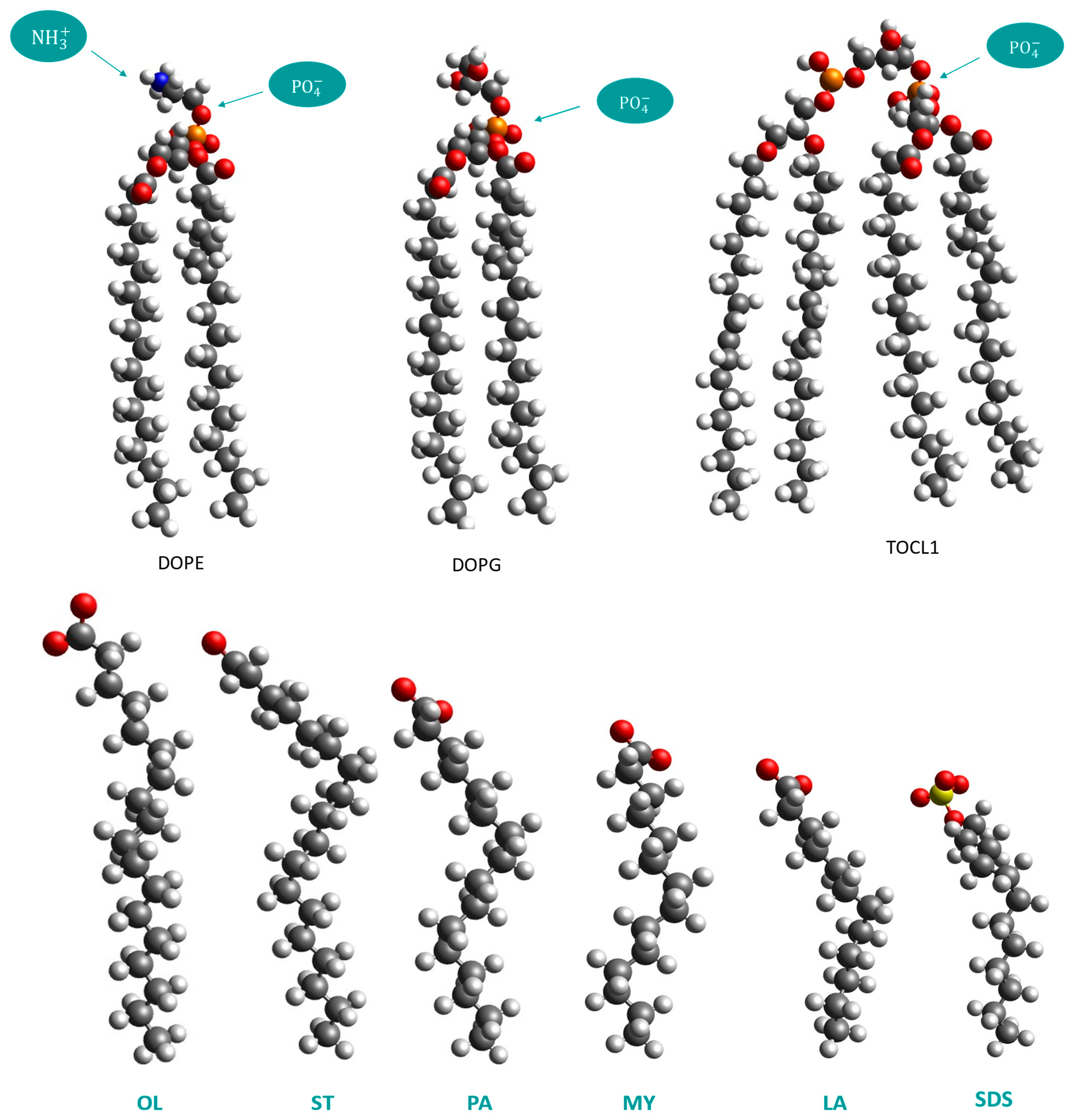 Physchem 05 00050 g002
