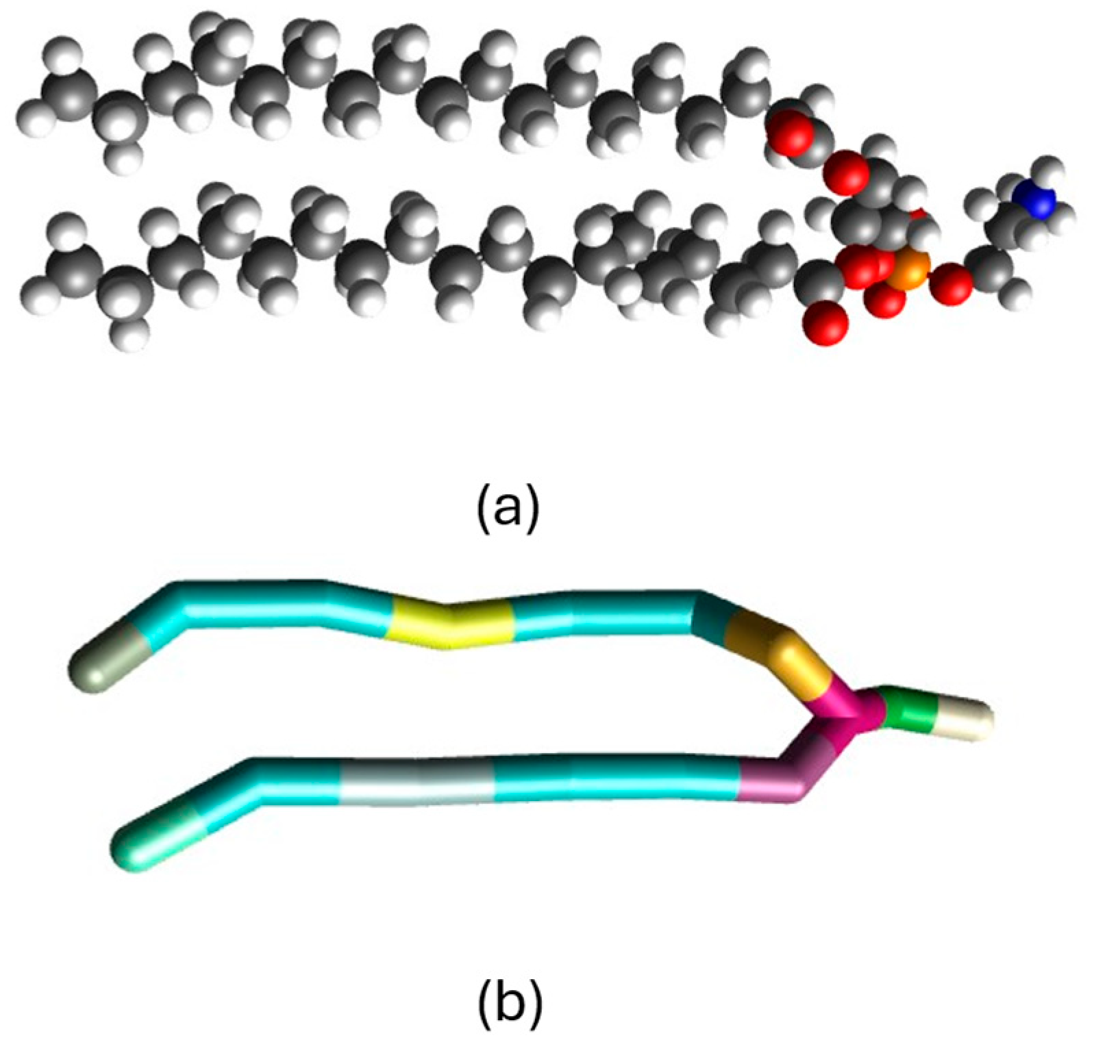 Physchem 05 00050 g003