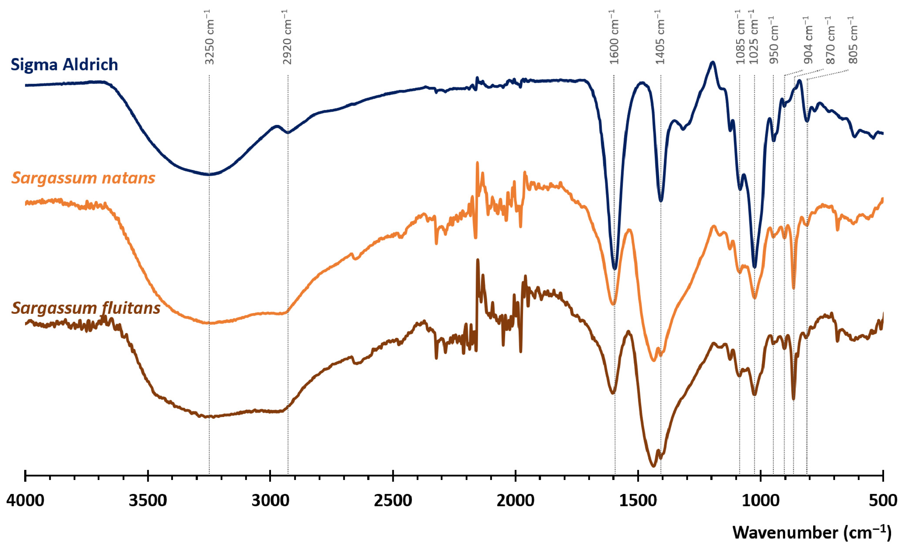 Physchem 05 00051 g002