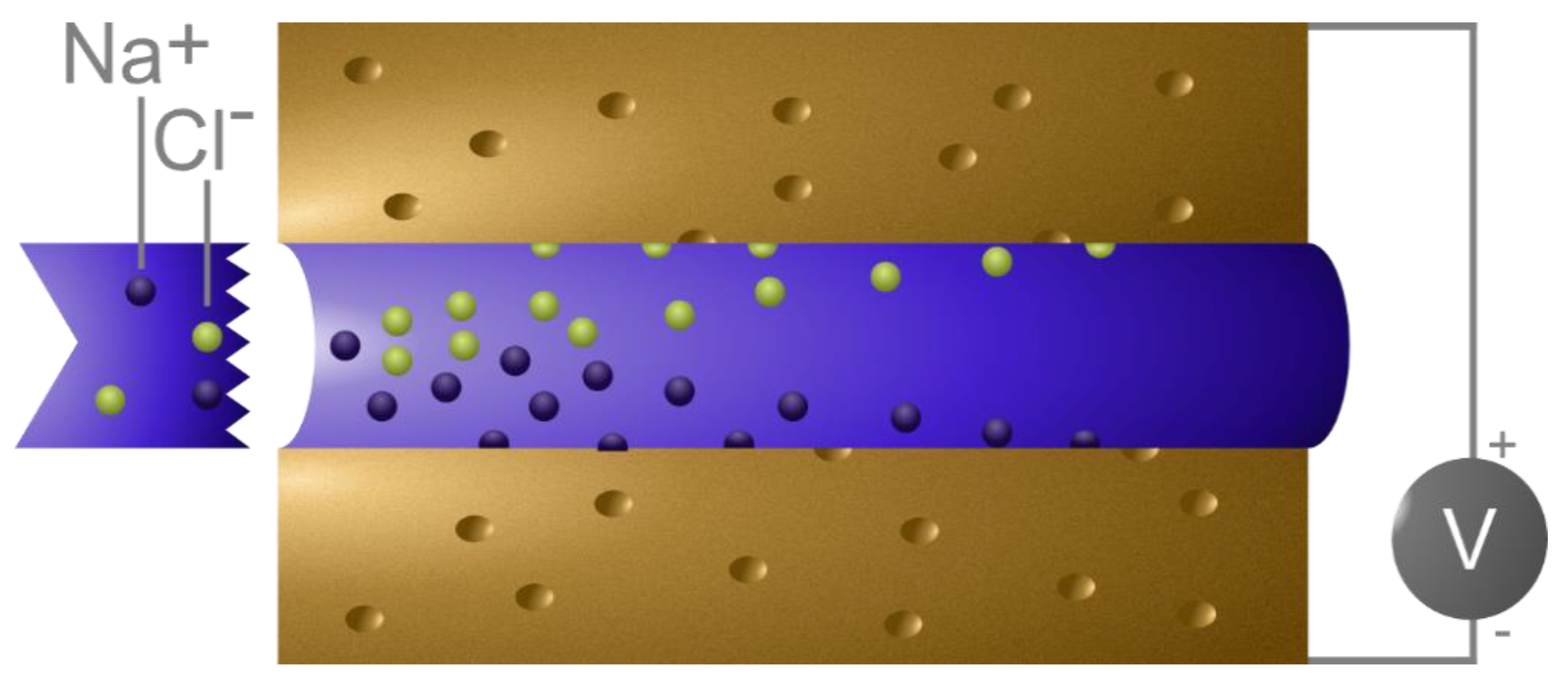 Physics 02 00016 g001