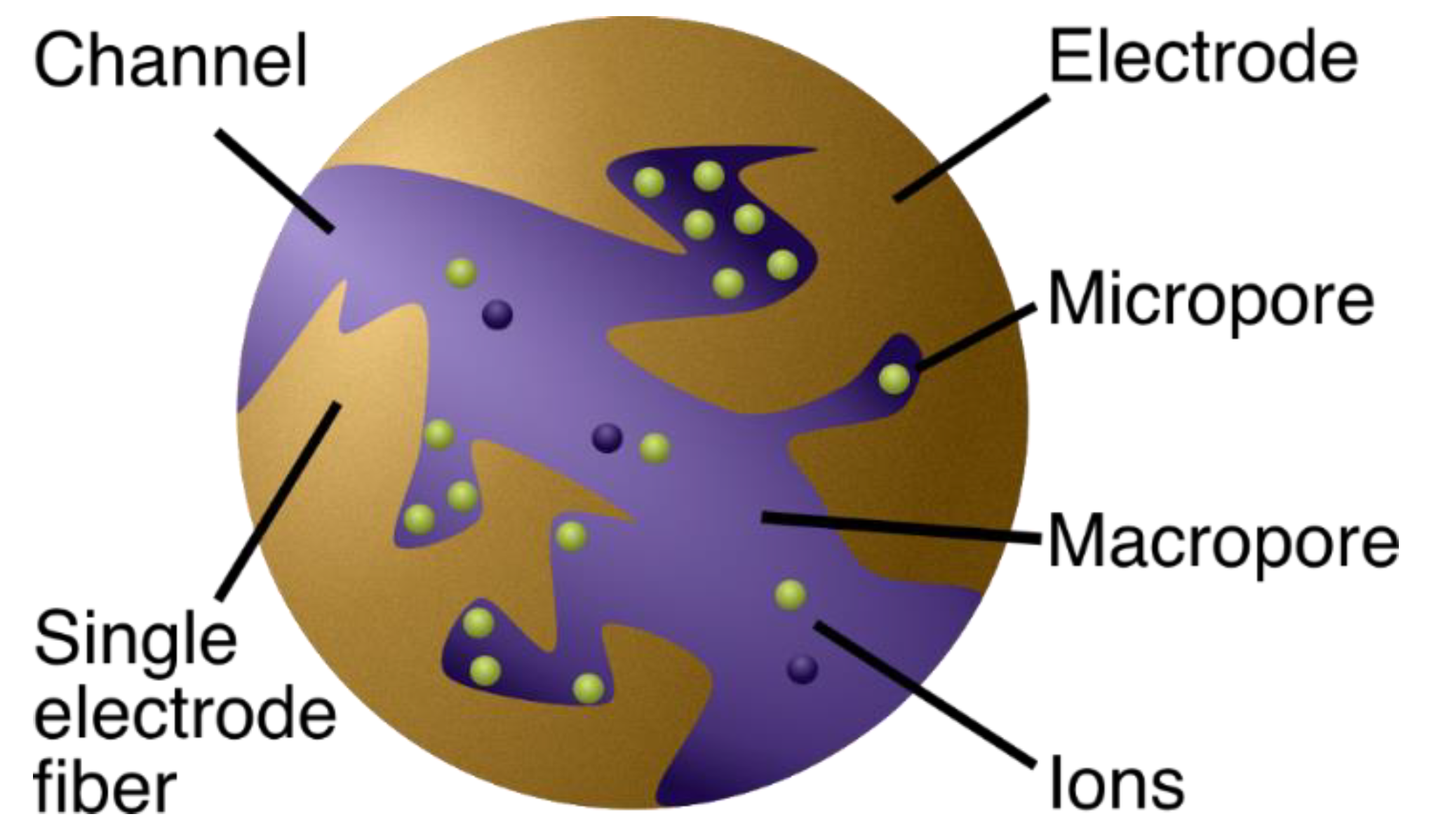 Physics 02 00016 g002
