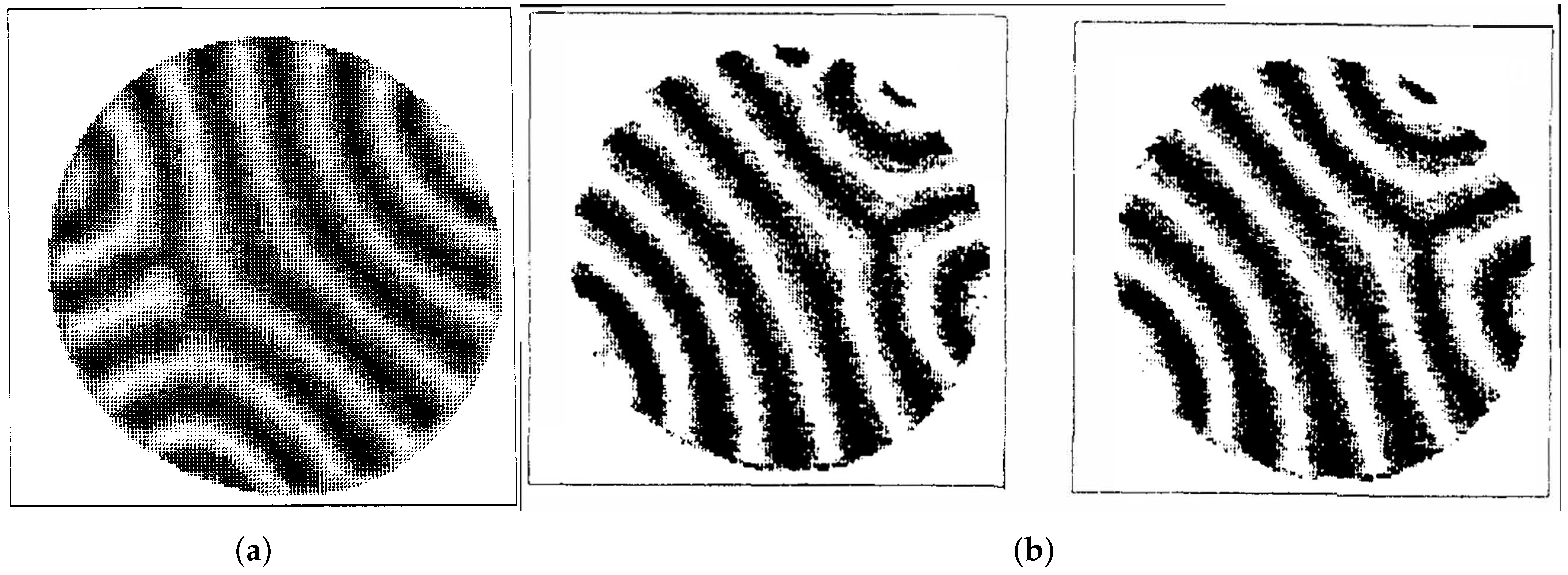 Physics 03 00064 g001