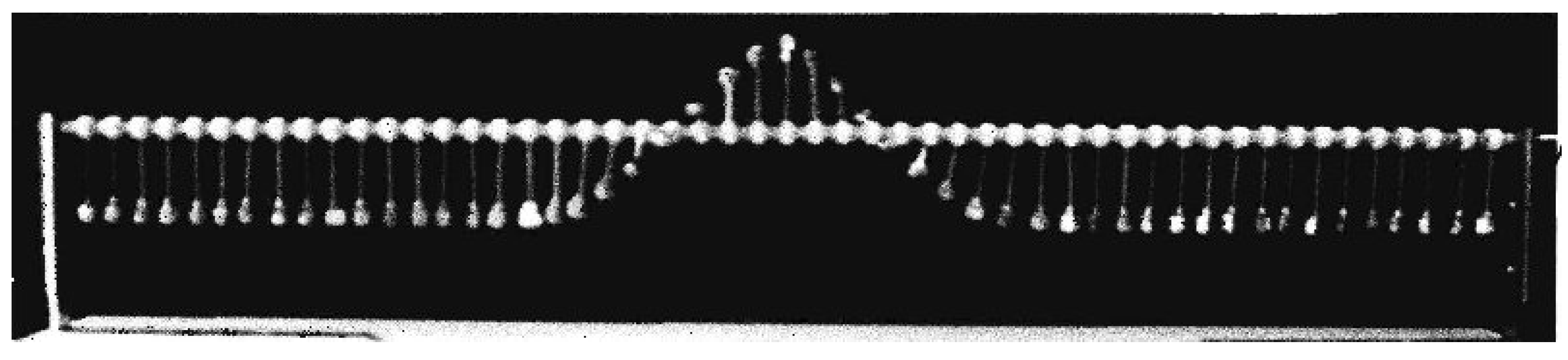 Physics 04 00028 g011