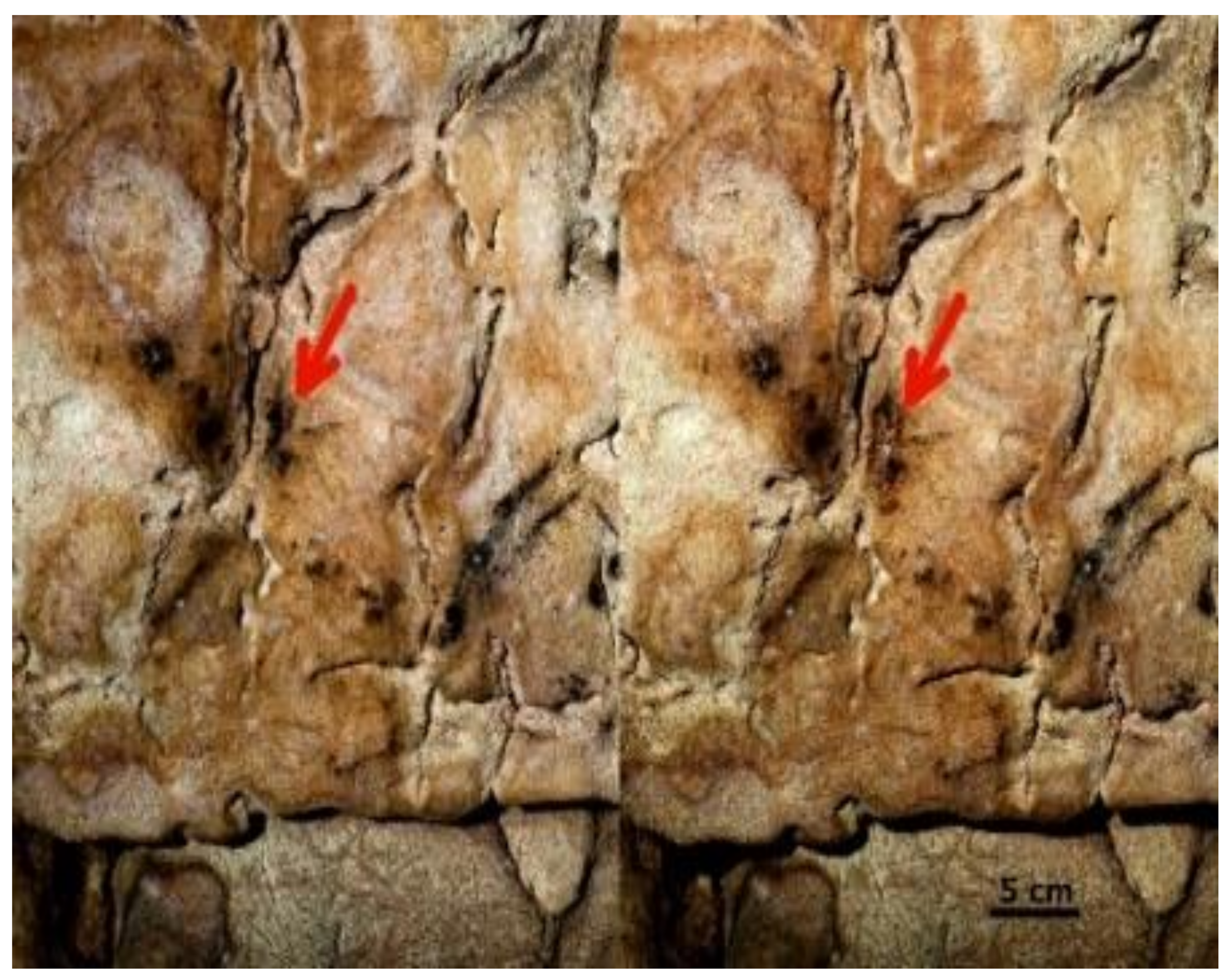 Physics 04 00033 g005