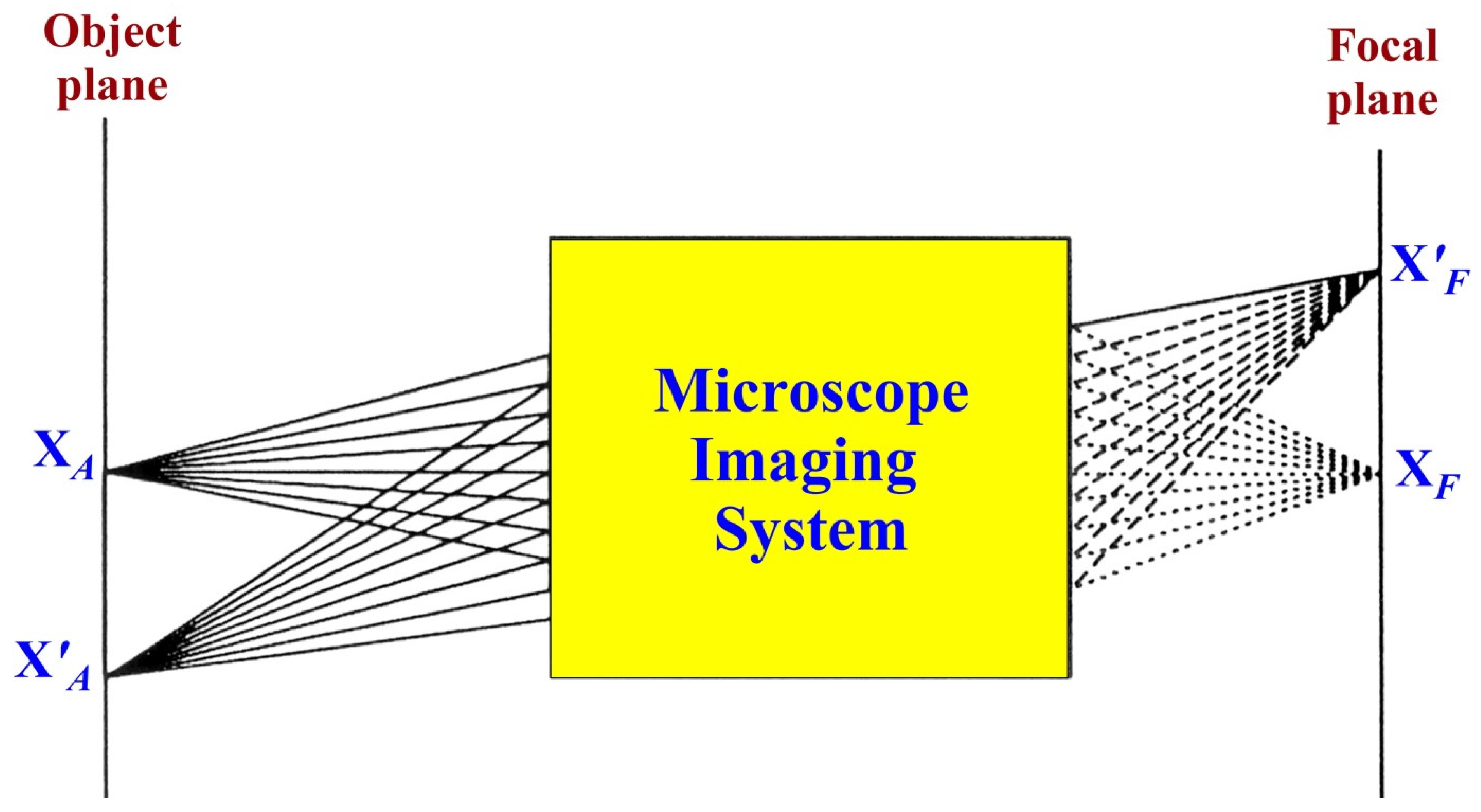 Physics 04 00053 g005 550