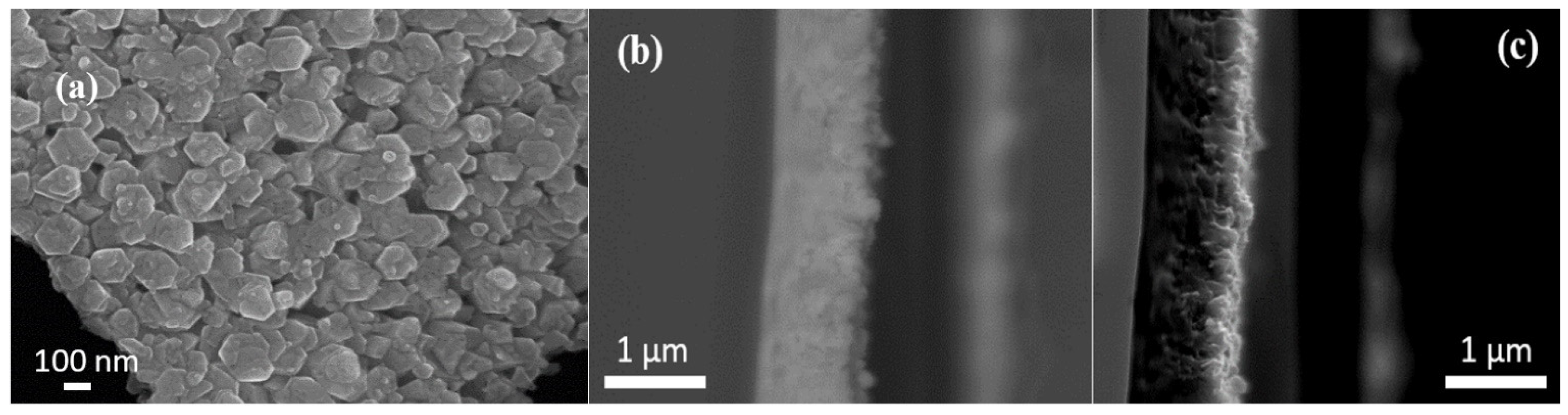 Physics 05 00004 g007 Physics 05 00004 g007
