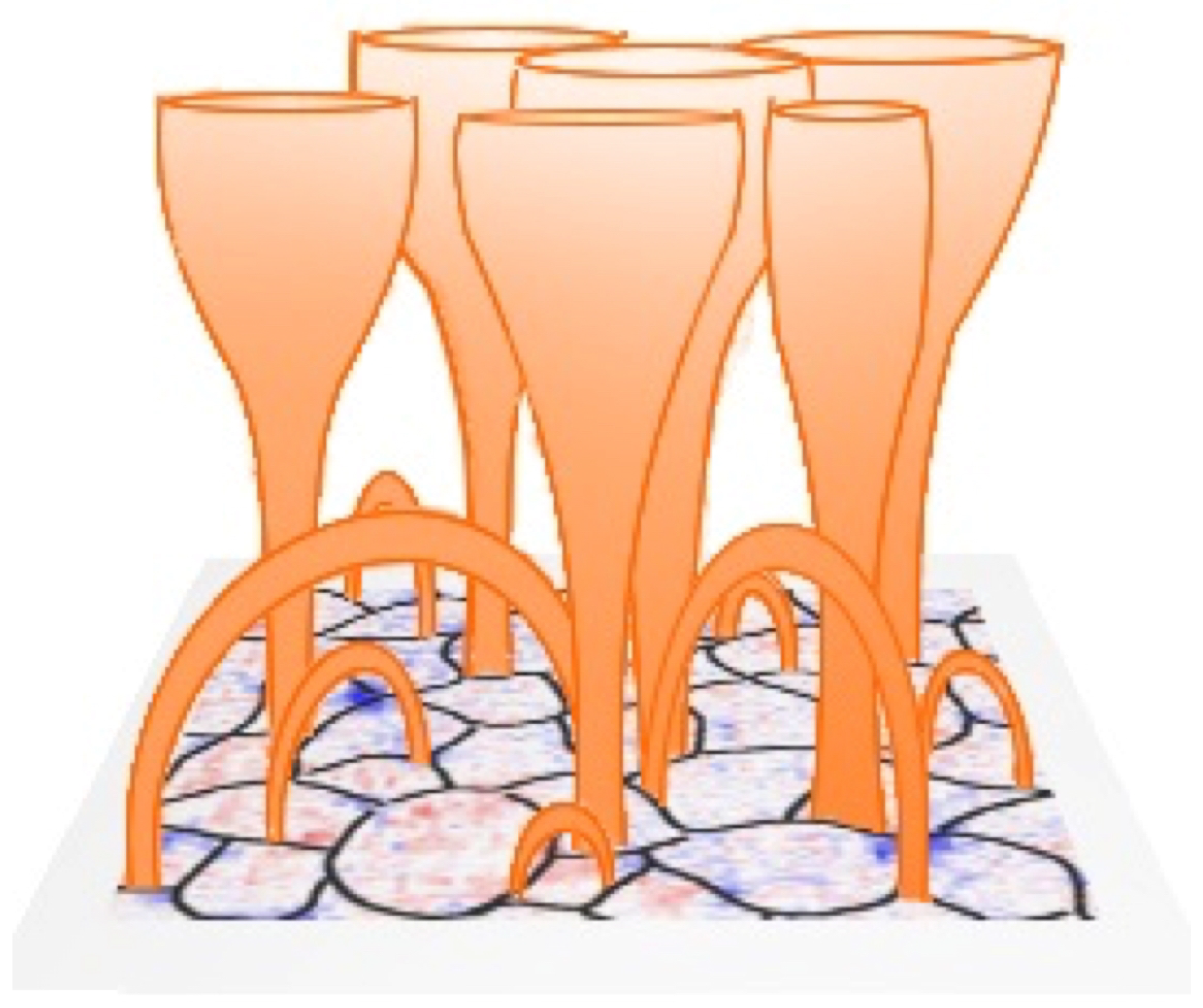 Physics 05 00032 g001