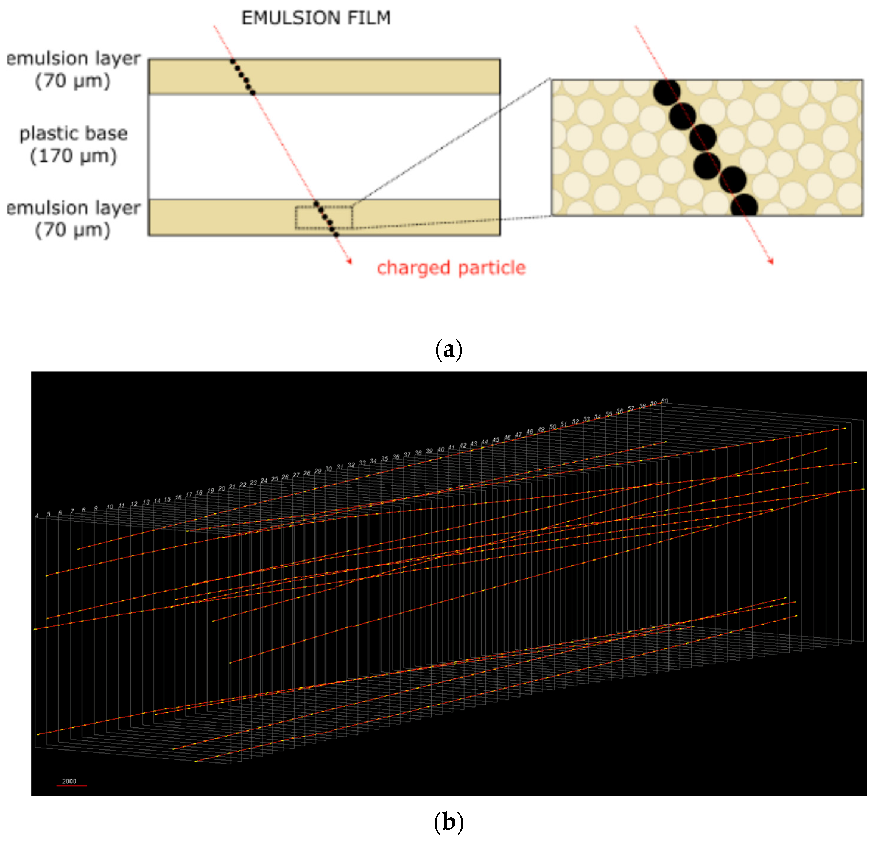 Physics 05 00035 g004