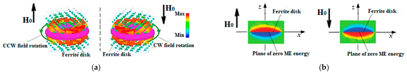 Physics 08 00050 g006