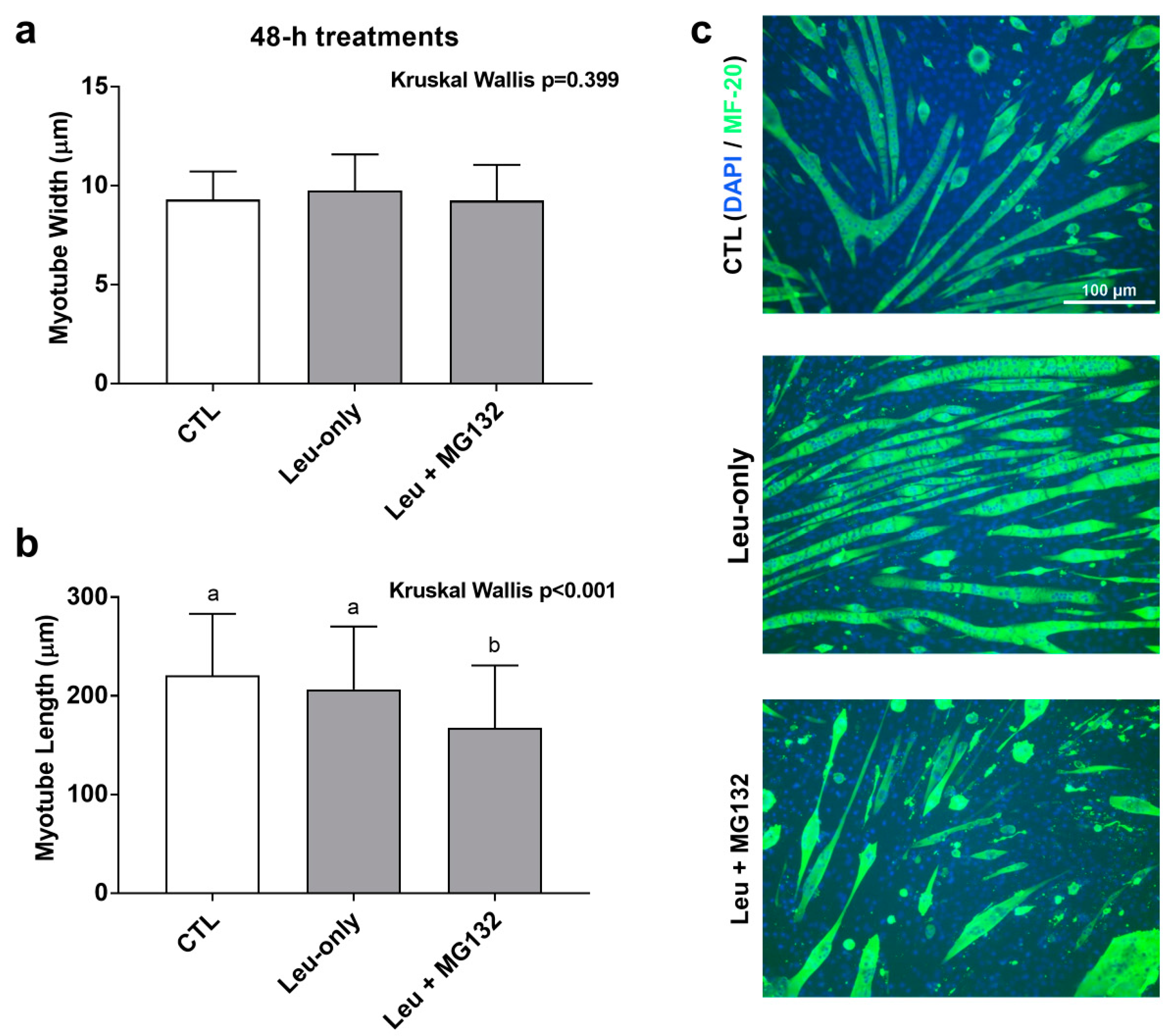 Physiologia 01 00005 g007