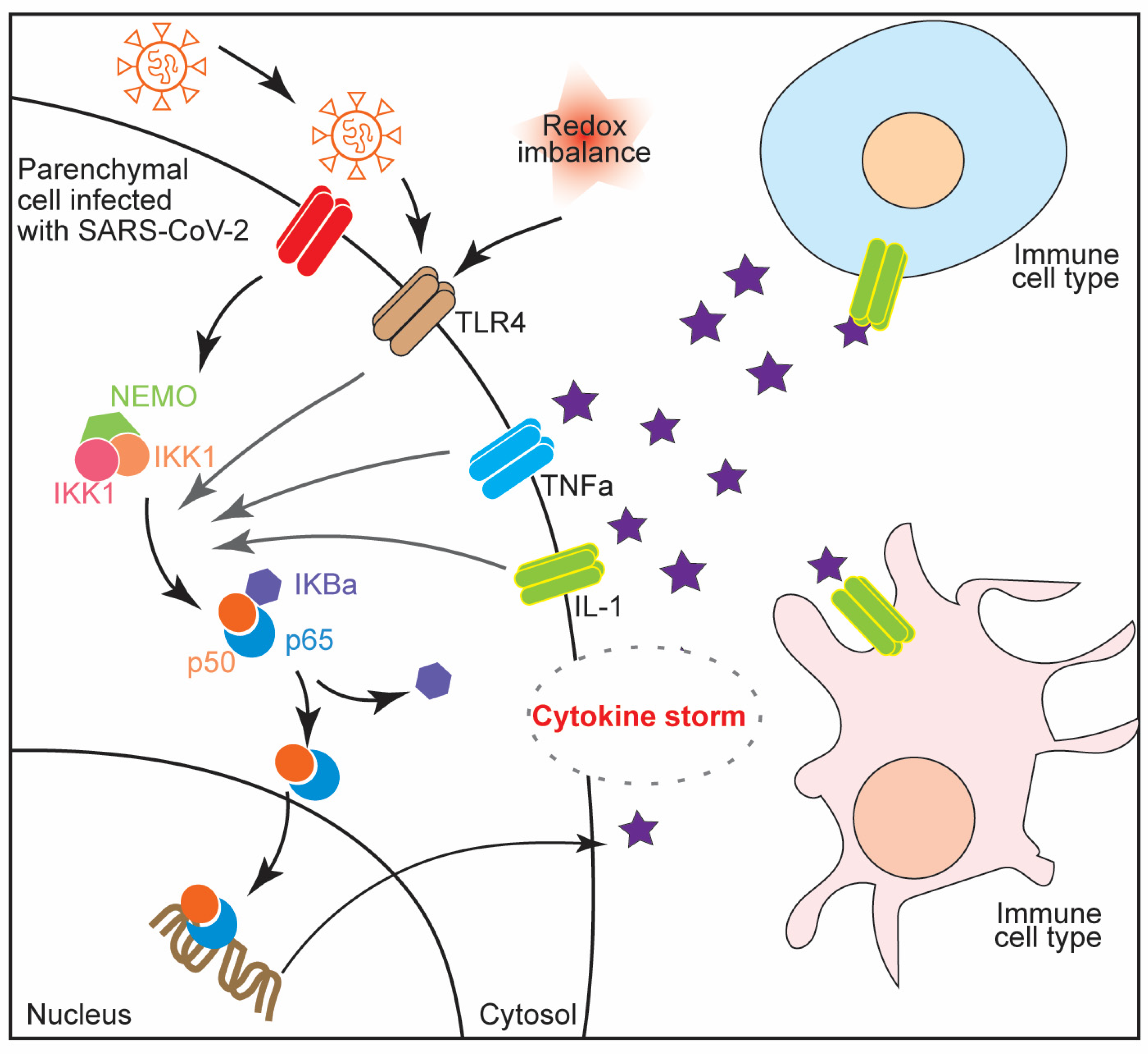 Physiologia 02 00004 g002