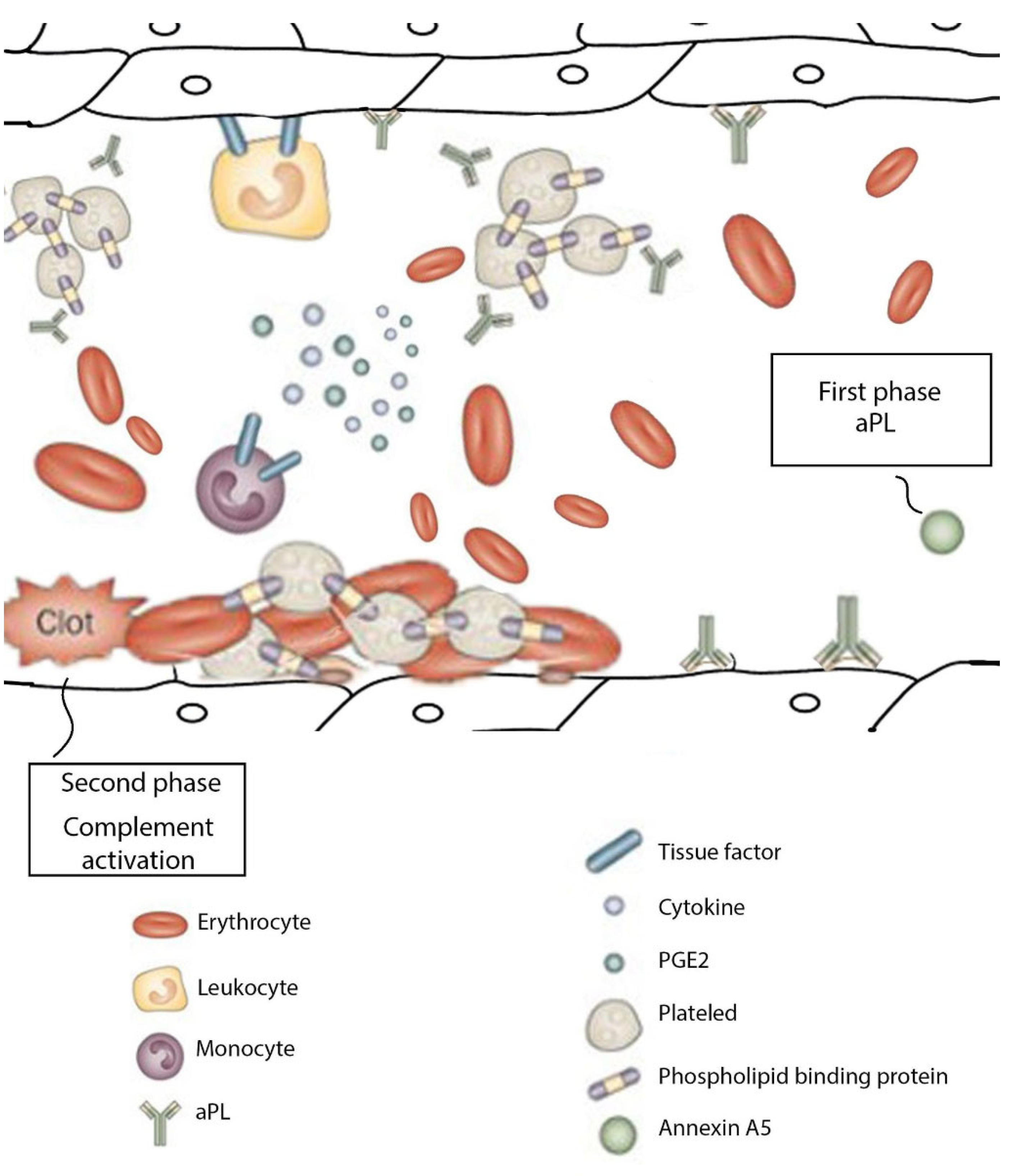Physiologia 02 00007 g001 550
