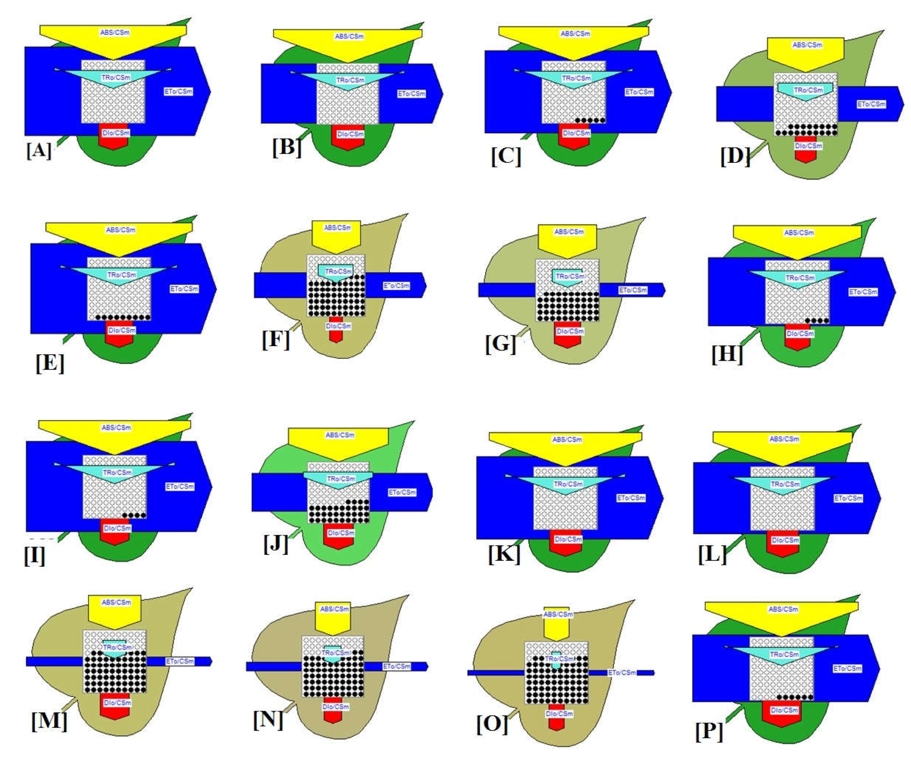 Physiologia 02 00012 g011 Physiologia 02 00012 g011