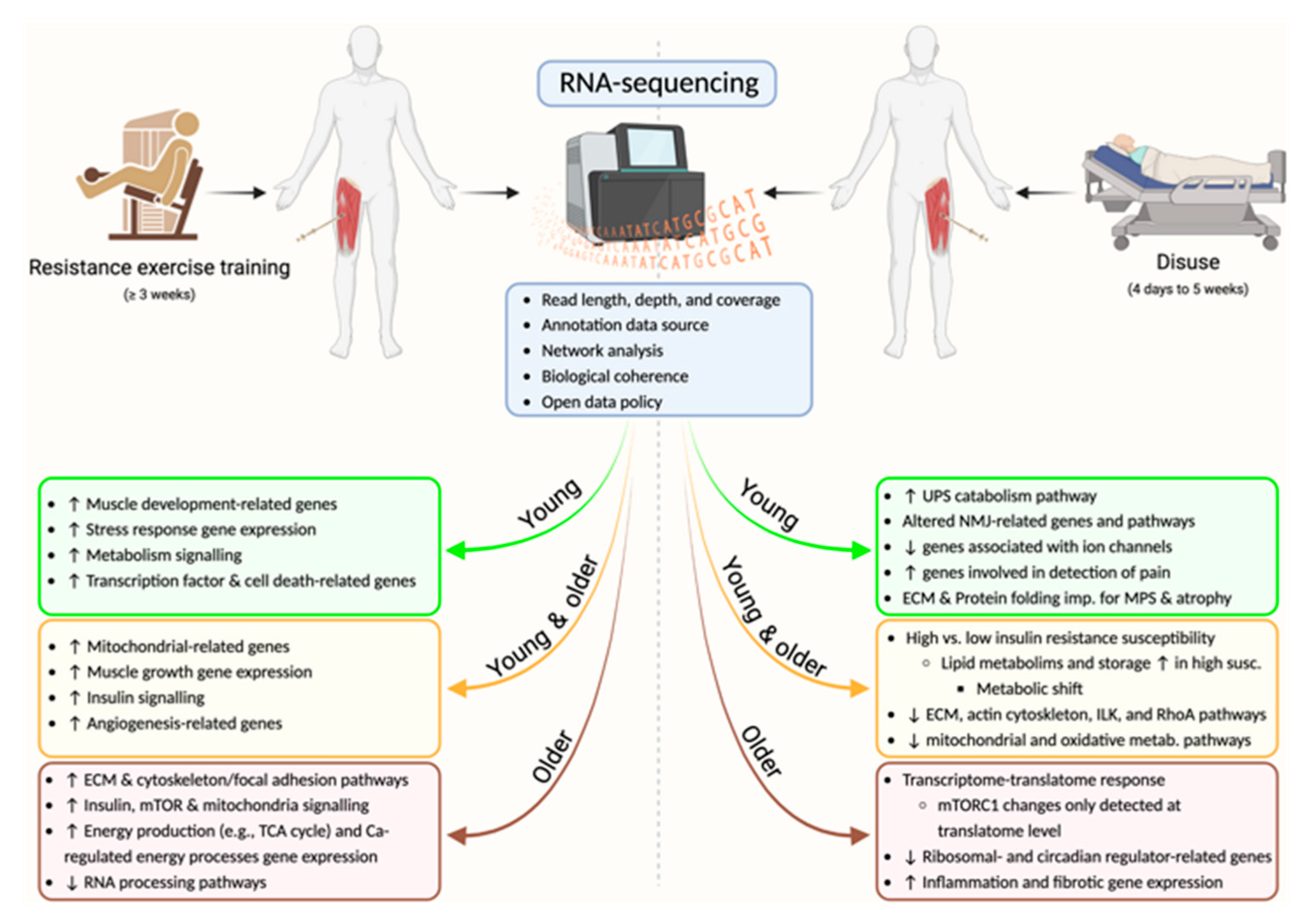 Comparison of low-coverage and high-coverage sequencing reference for