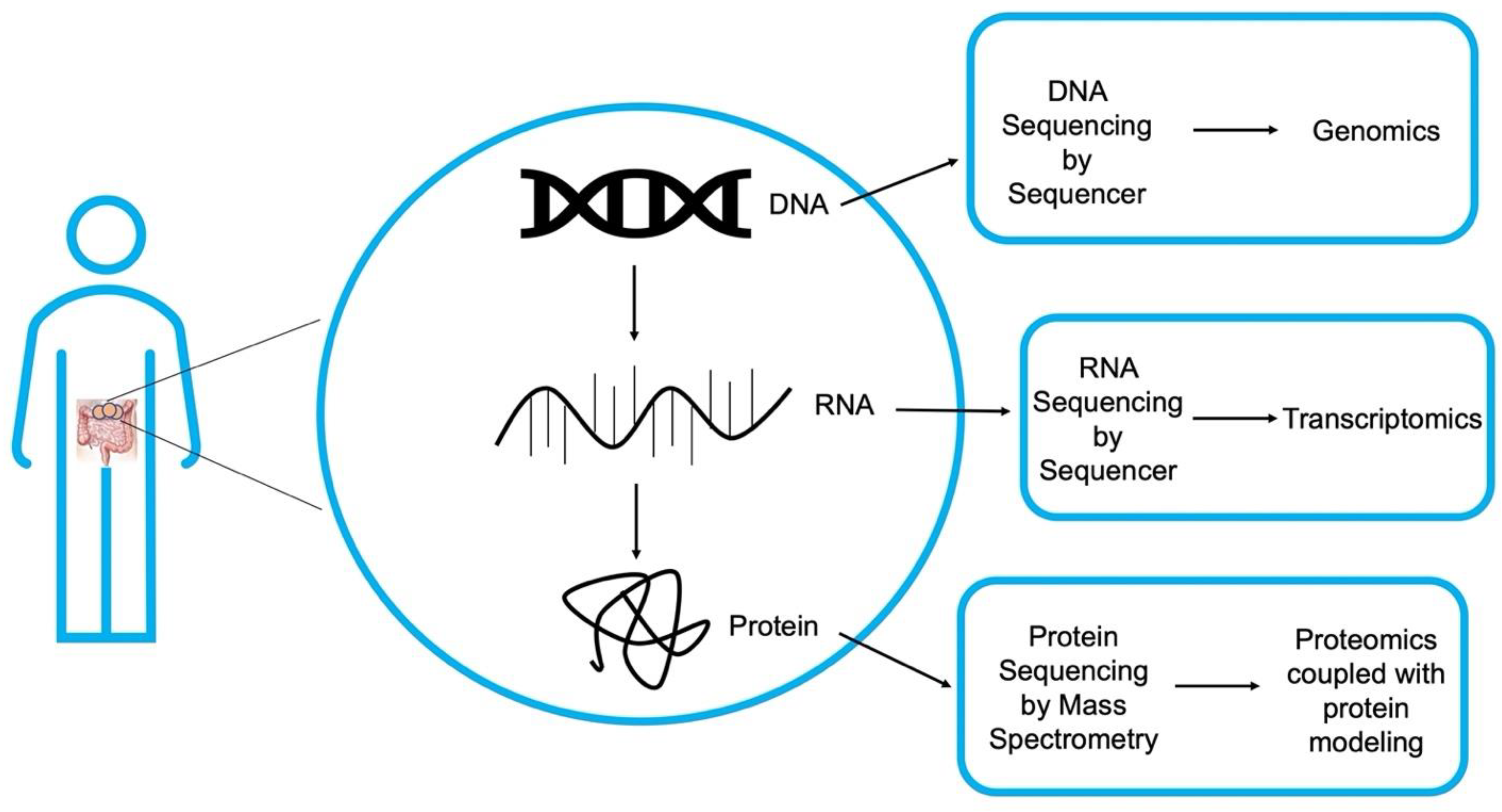 Physiologia 03 00002 g001 Physiologia 03 00002 g001