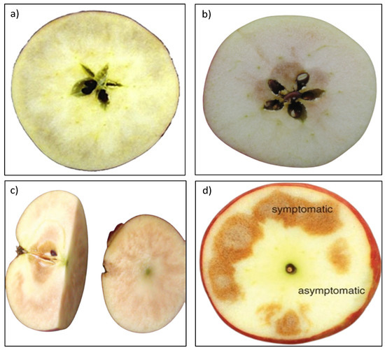 Physiologia Free FullText Internal Flesh Browning in Apple and Its