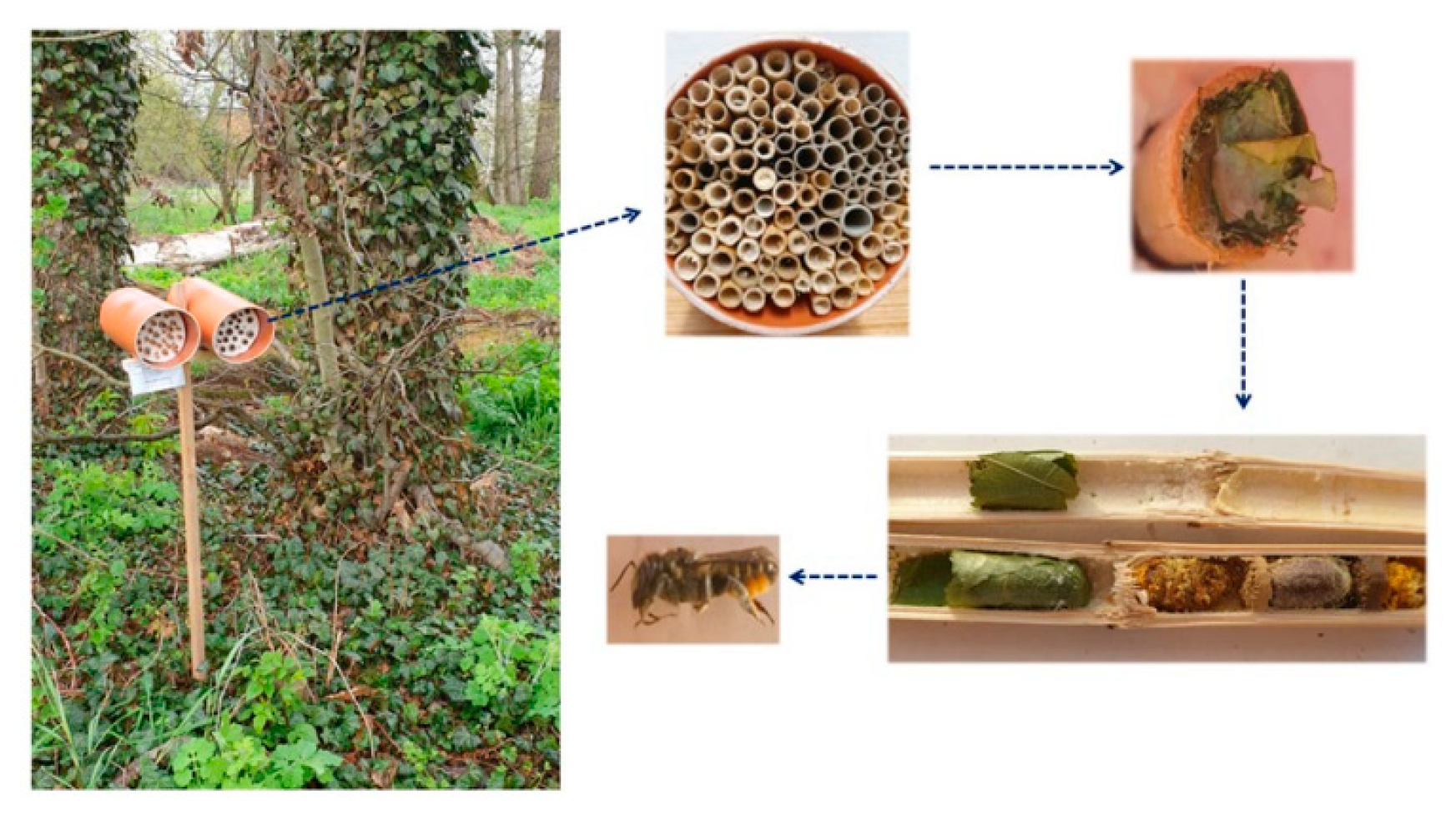 Physiologia 03 00019 g001 Physiologia 03 00019 g001