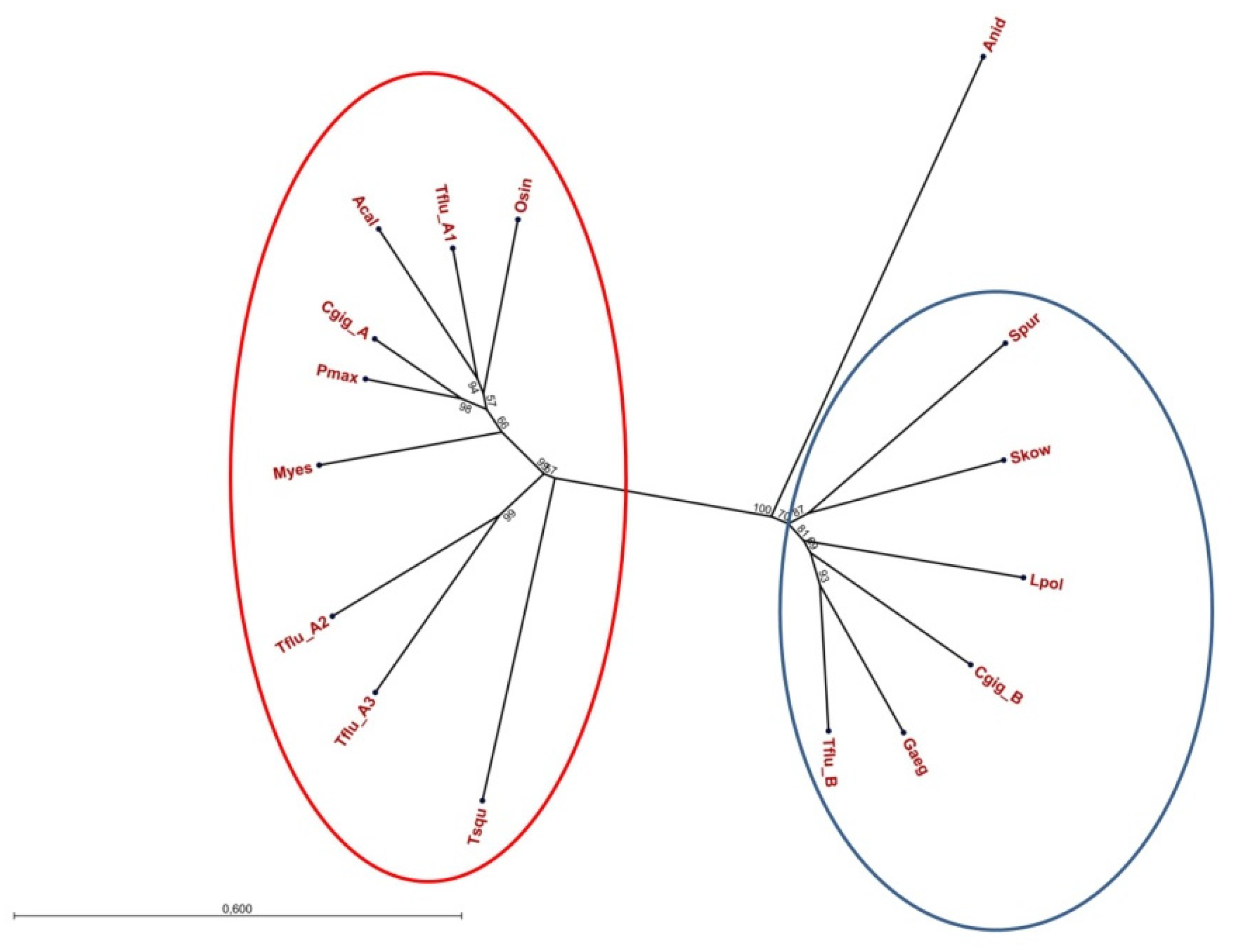 Physiologia 03 00020 g002