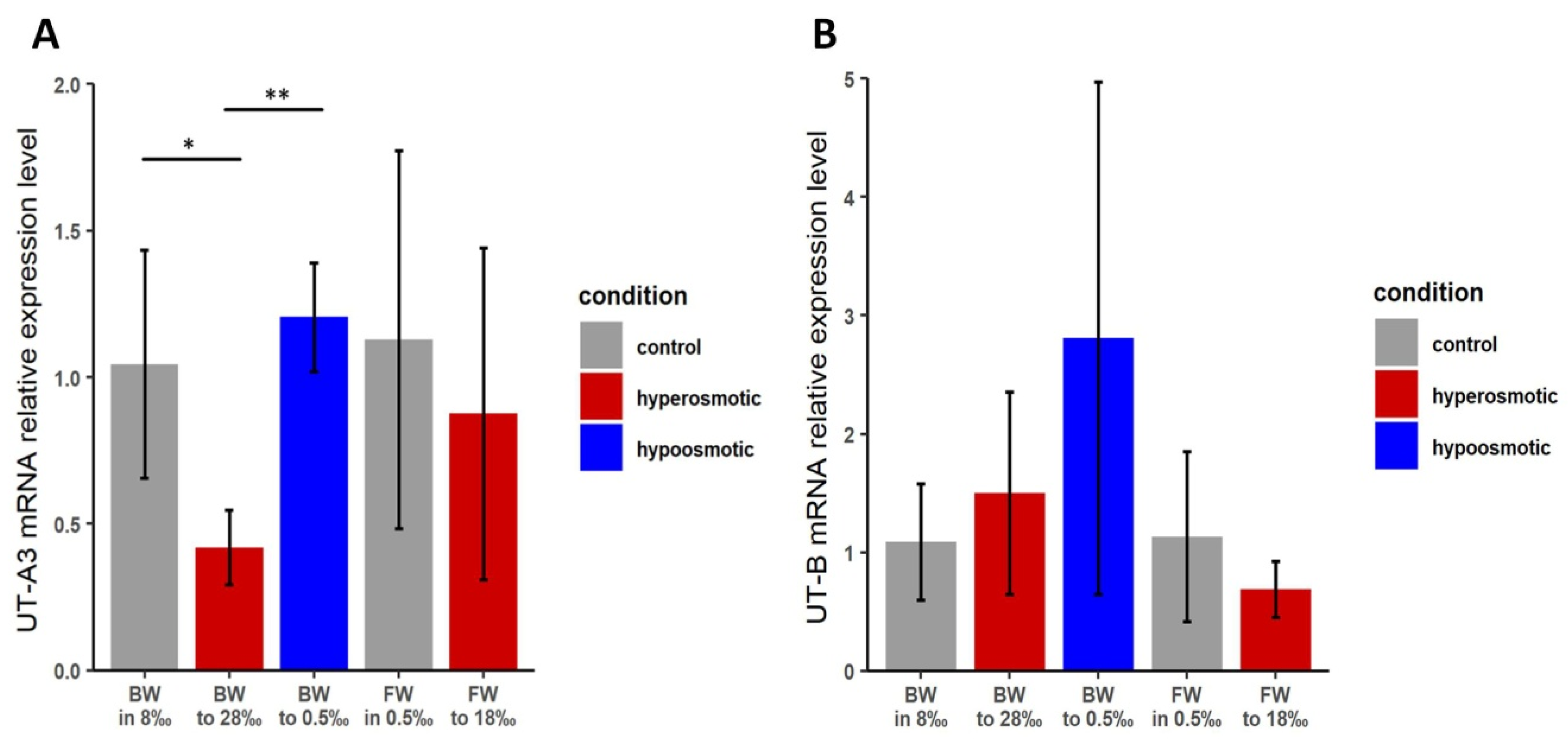 Physiologia 03 00020 g004