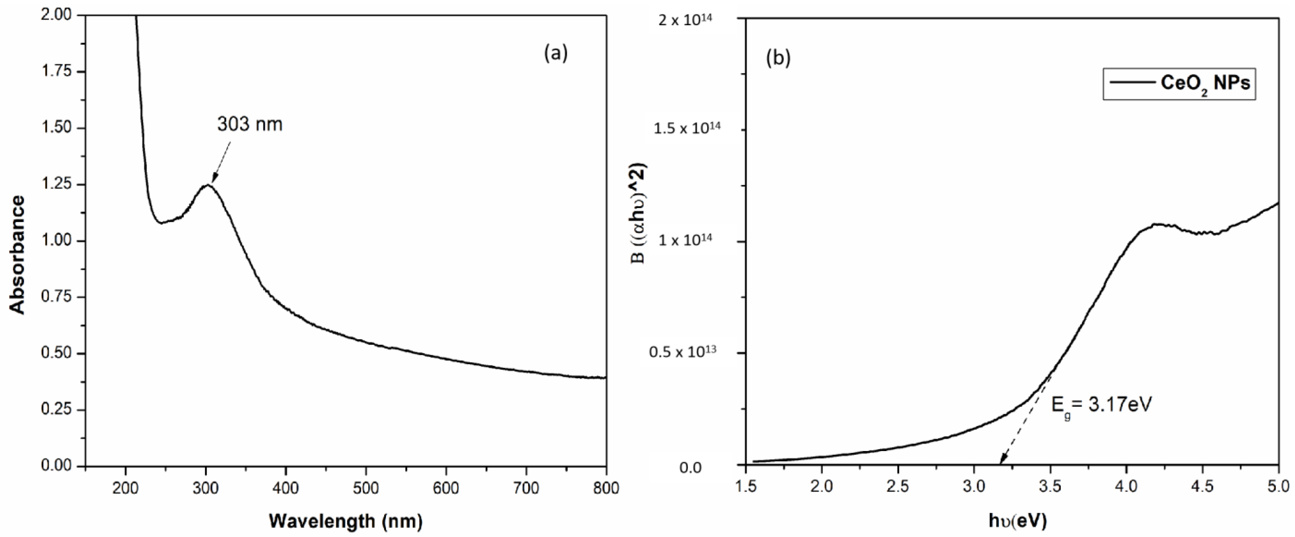Physiologia 03 00023 g001 Physiologia 03 00023 g001
