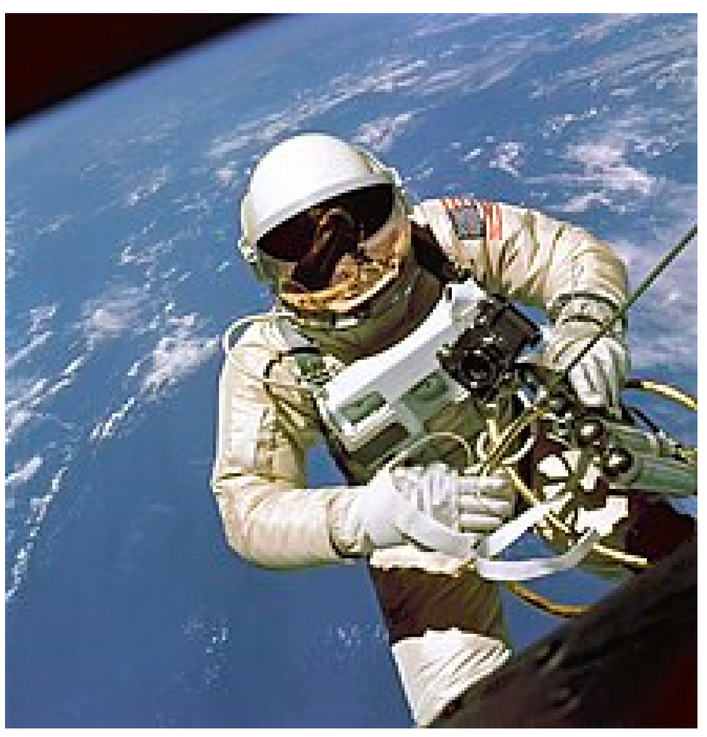 Physiologia 03 00037 g001