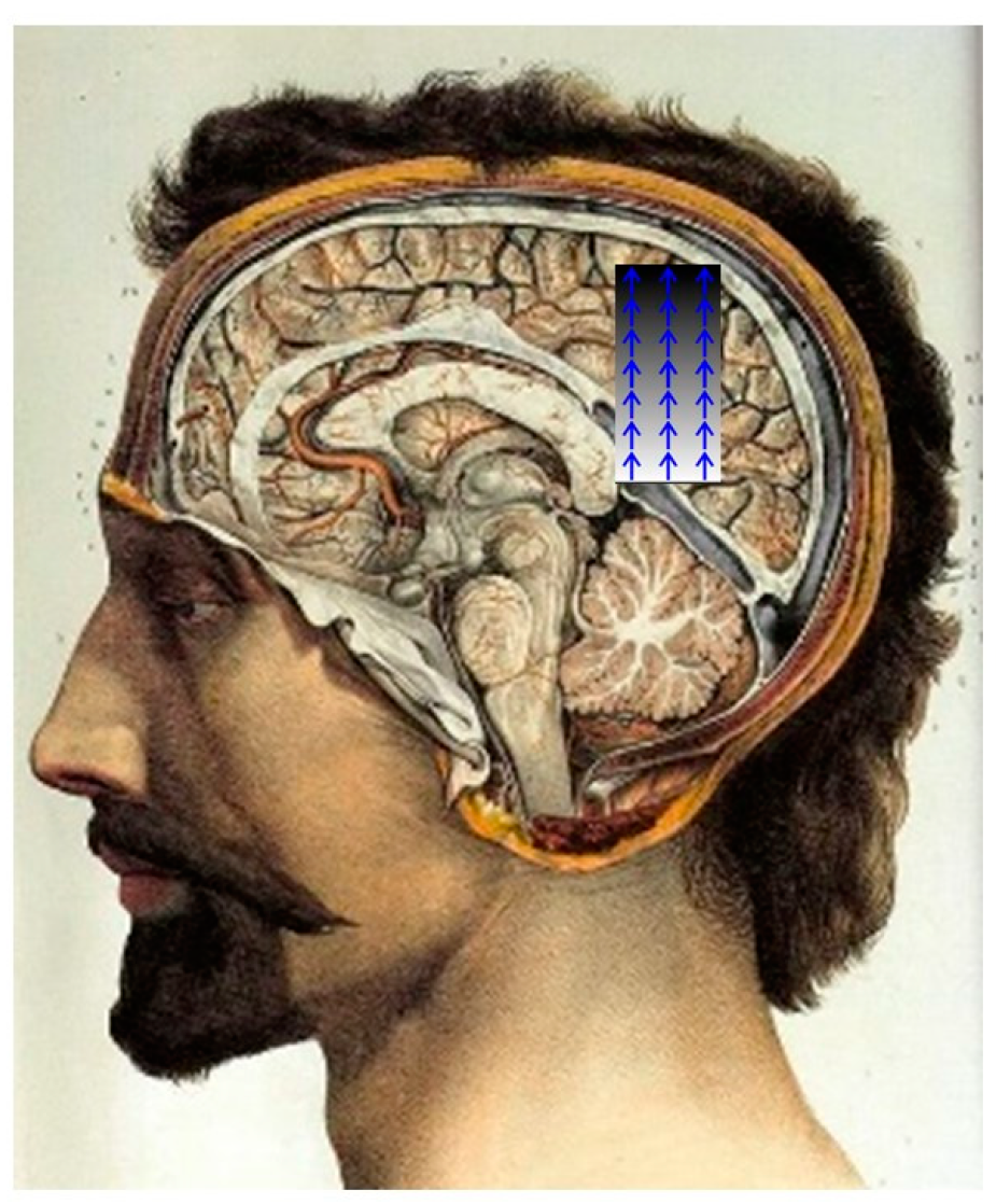 Physiologia 03 00037 g006