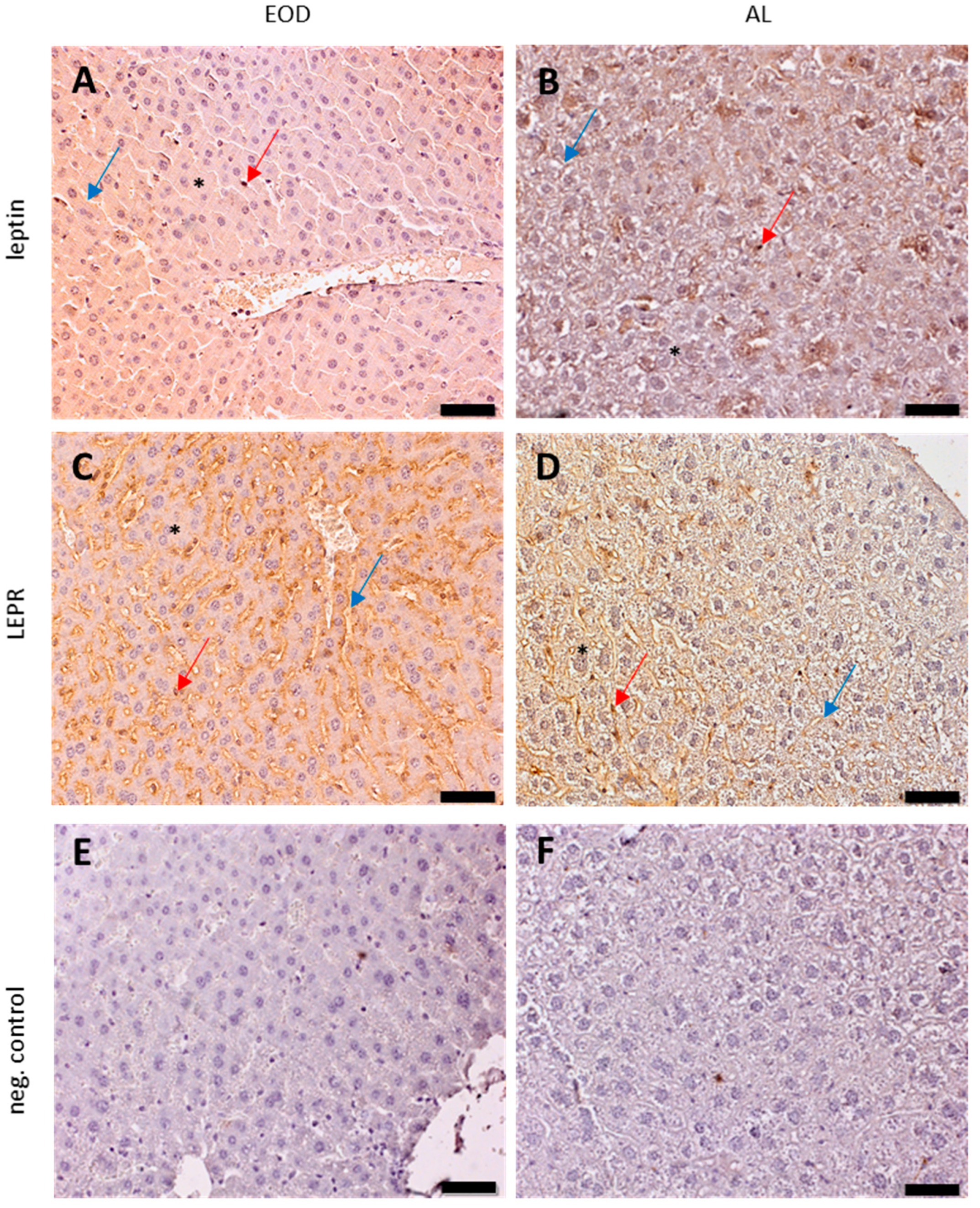 Physiologia 04 00006 g005 Physiologia 04 00006 g005