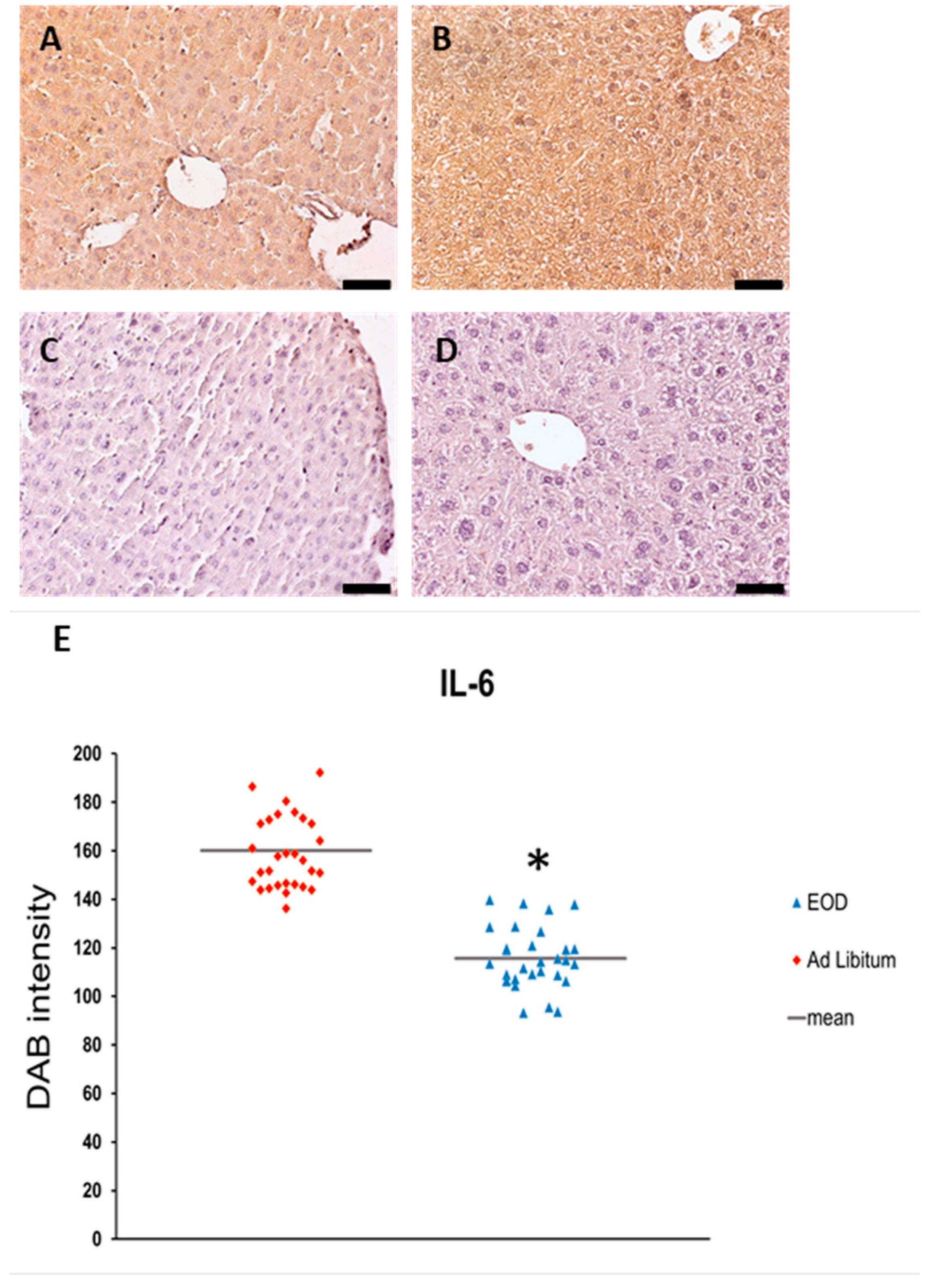 Physiologia 04 00006 g006 Physiologia 04 00006 g006