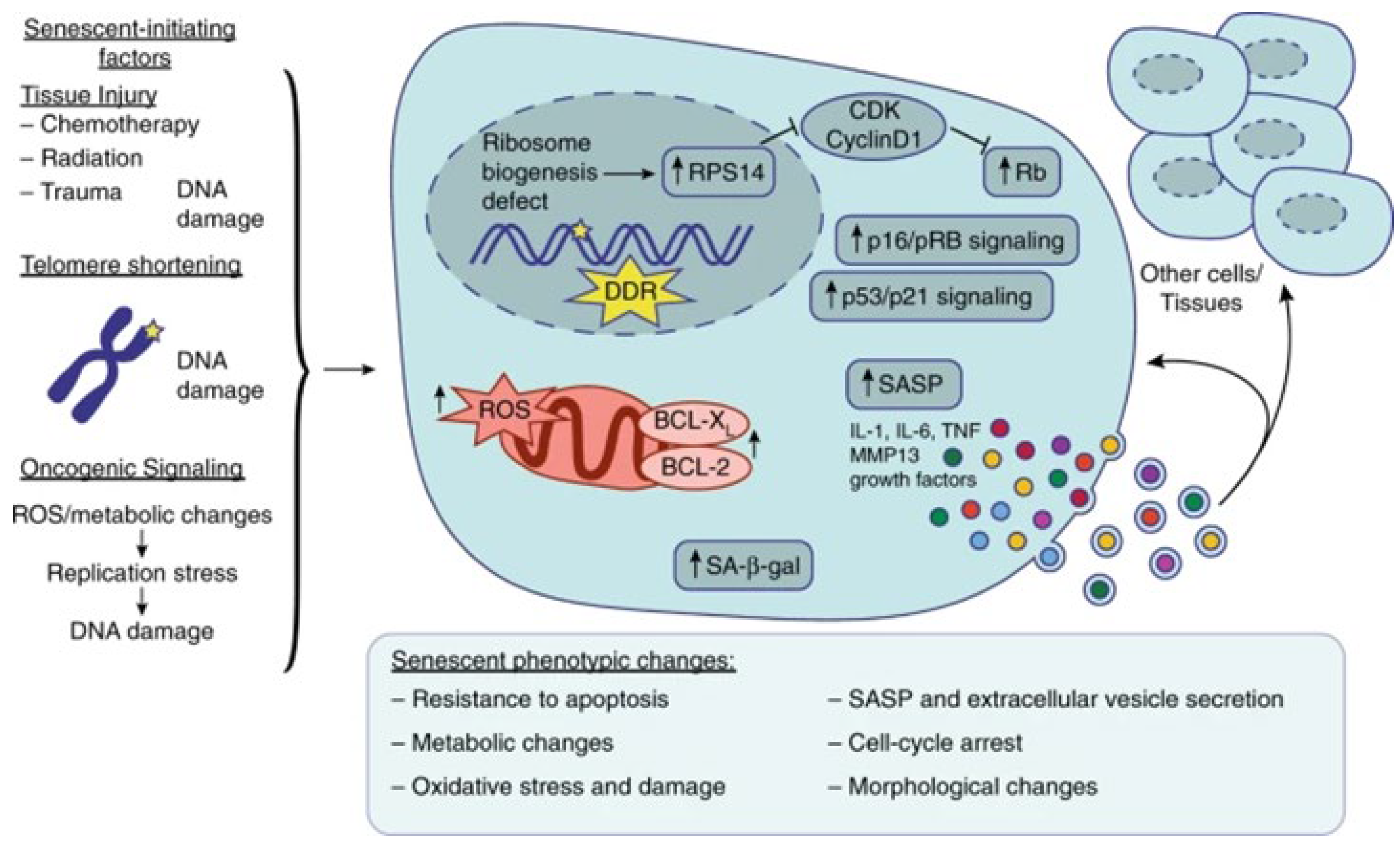 Physiologia 04 00009 g001