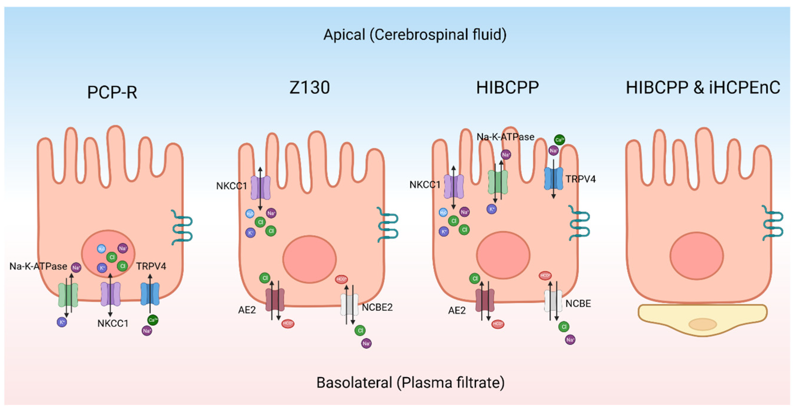 Physiologia 04 00010 g003 Physiologia 04 00010 g003