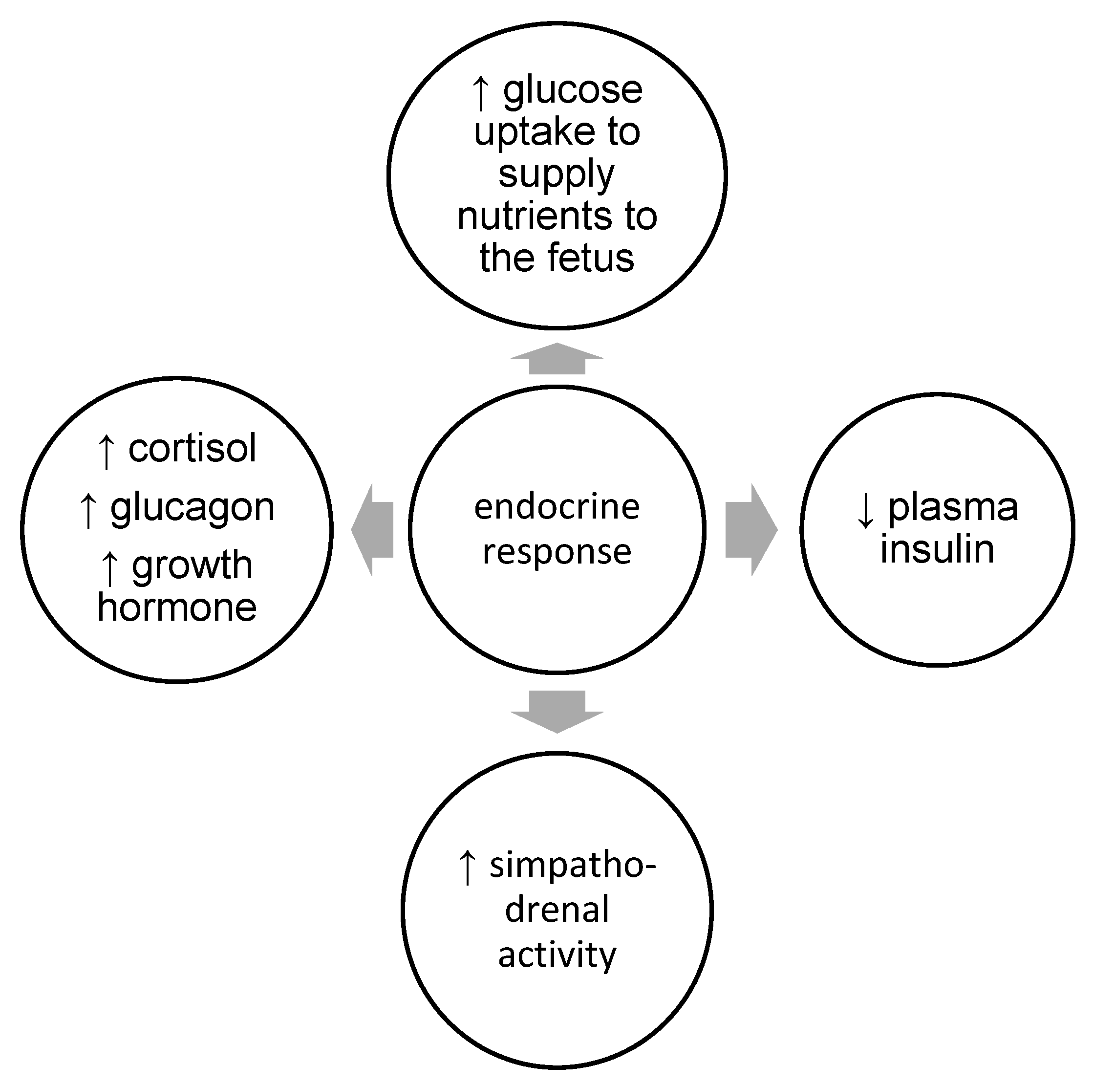 Physiologia 05 00002 g001