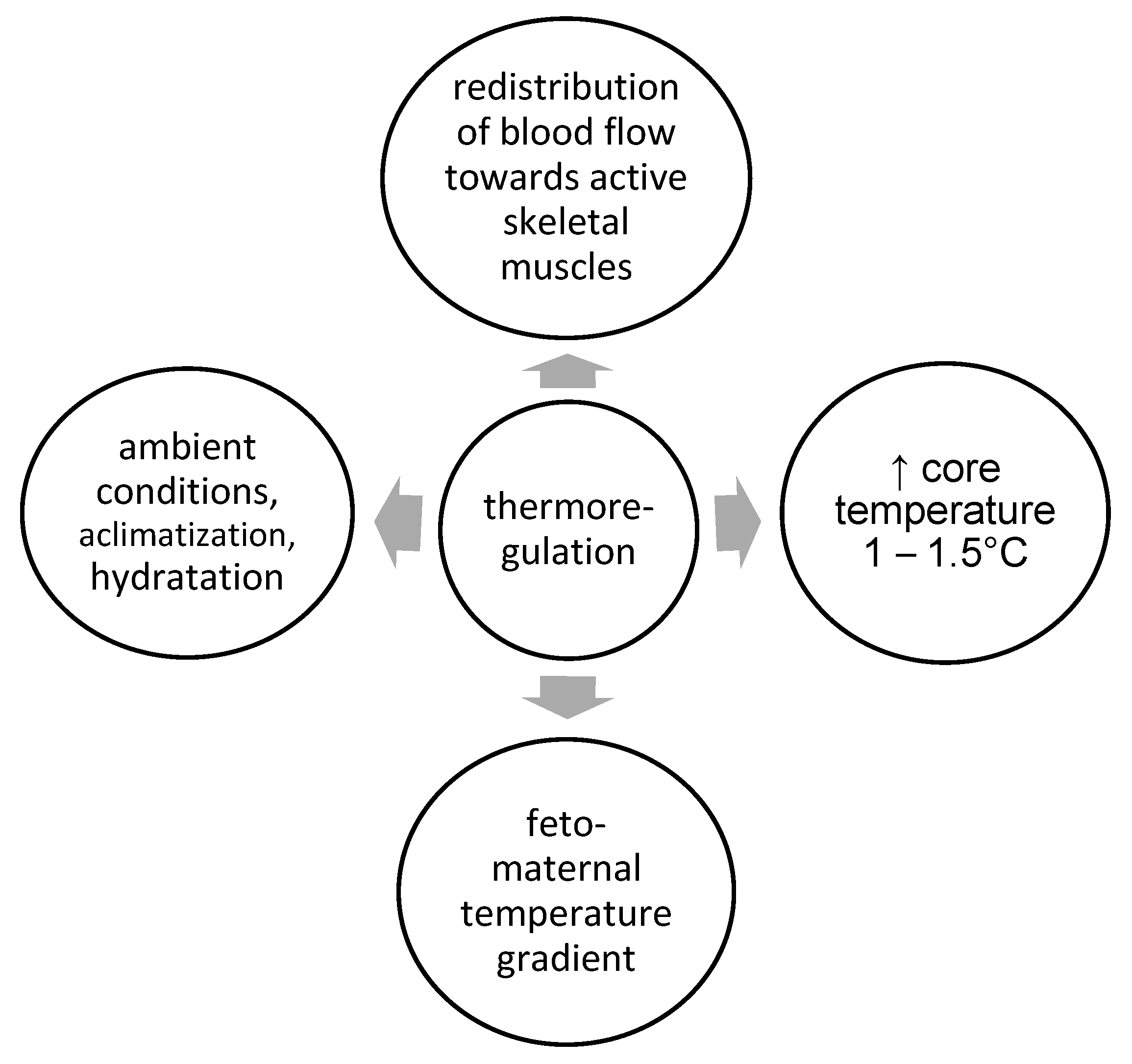 Physiologia 05 00002 g002