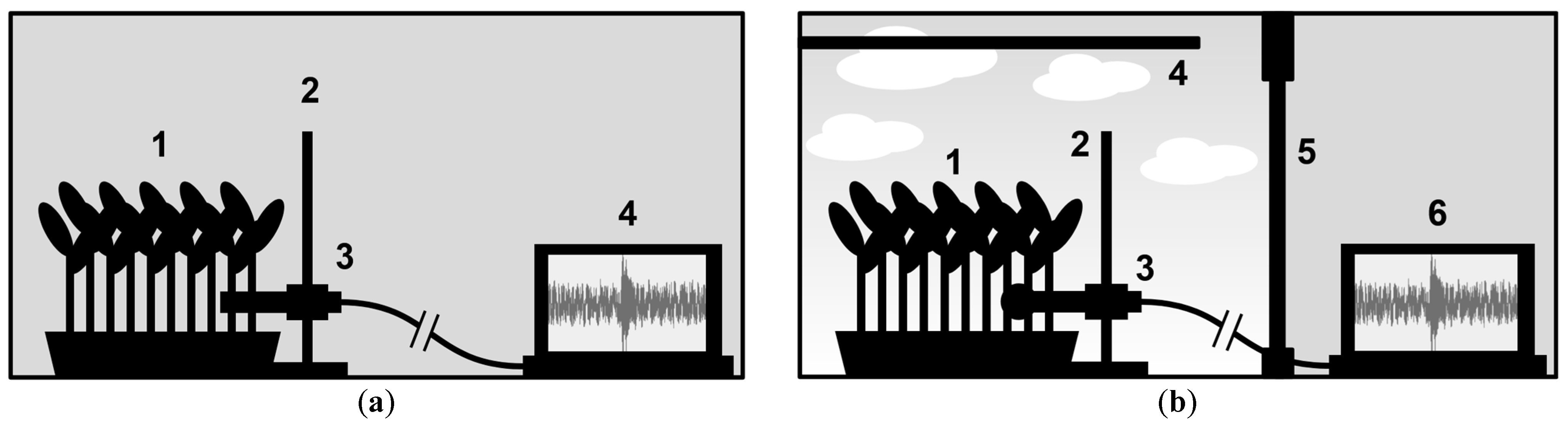 Physiologia 05 00009 g007