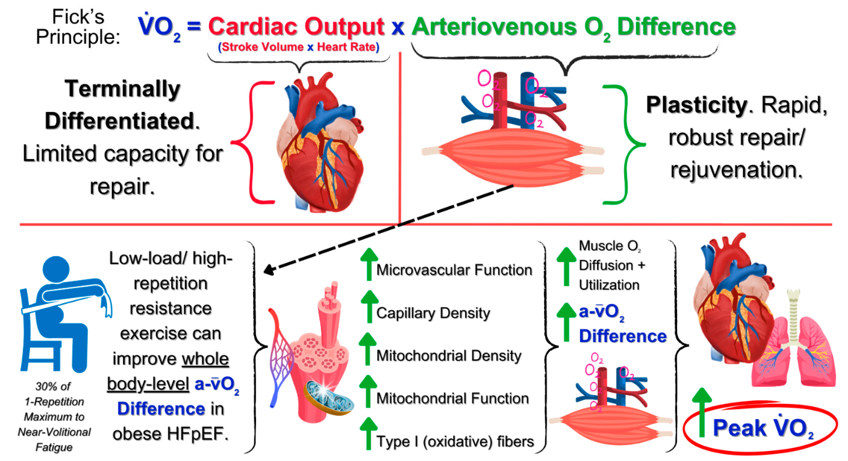 Physiologia 05 00010 g001