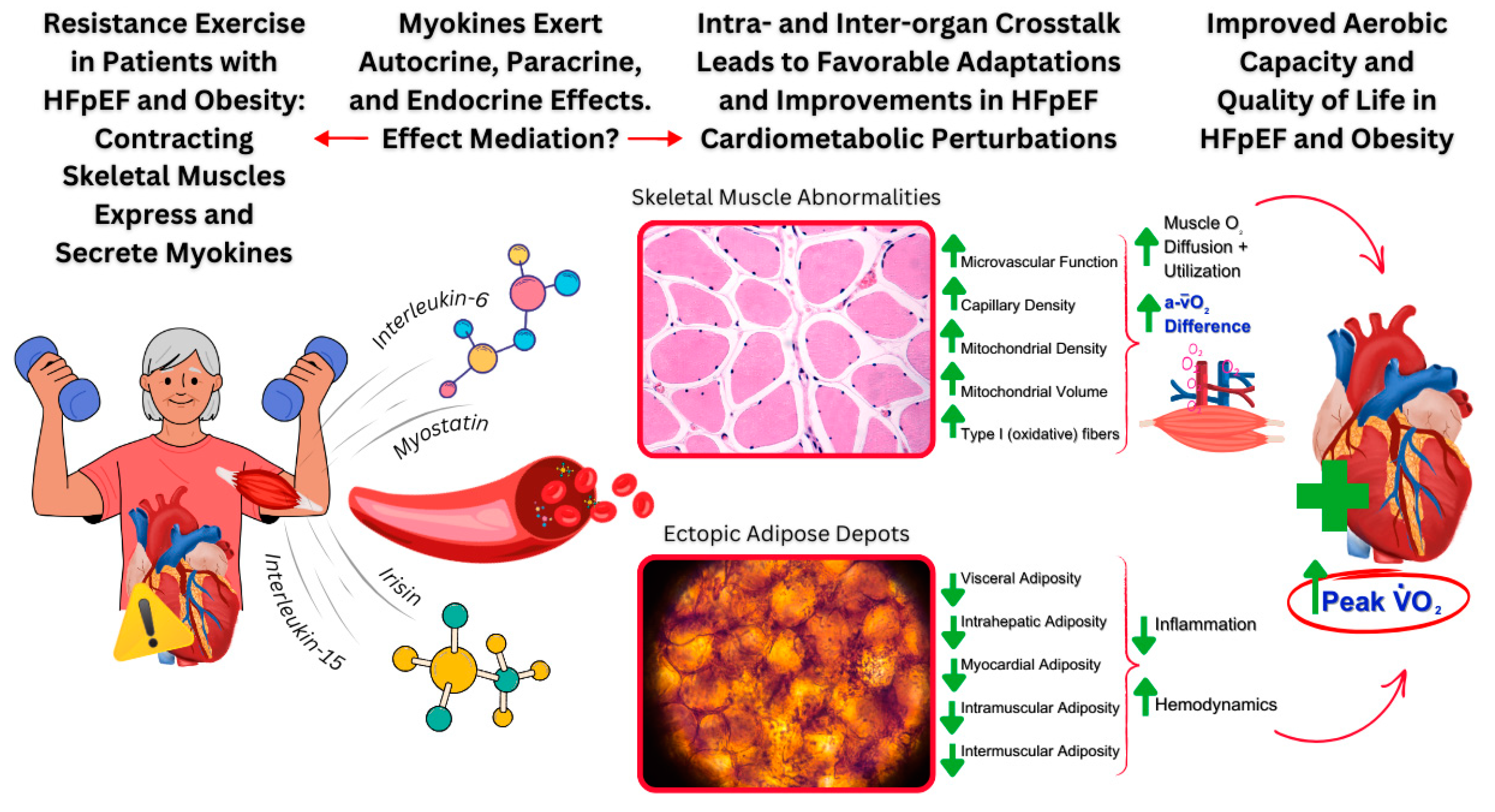 Physiologia 05 00010 g002
